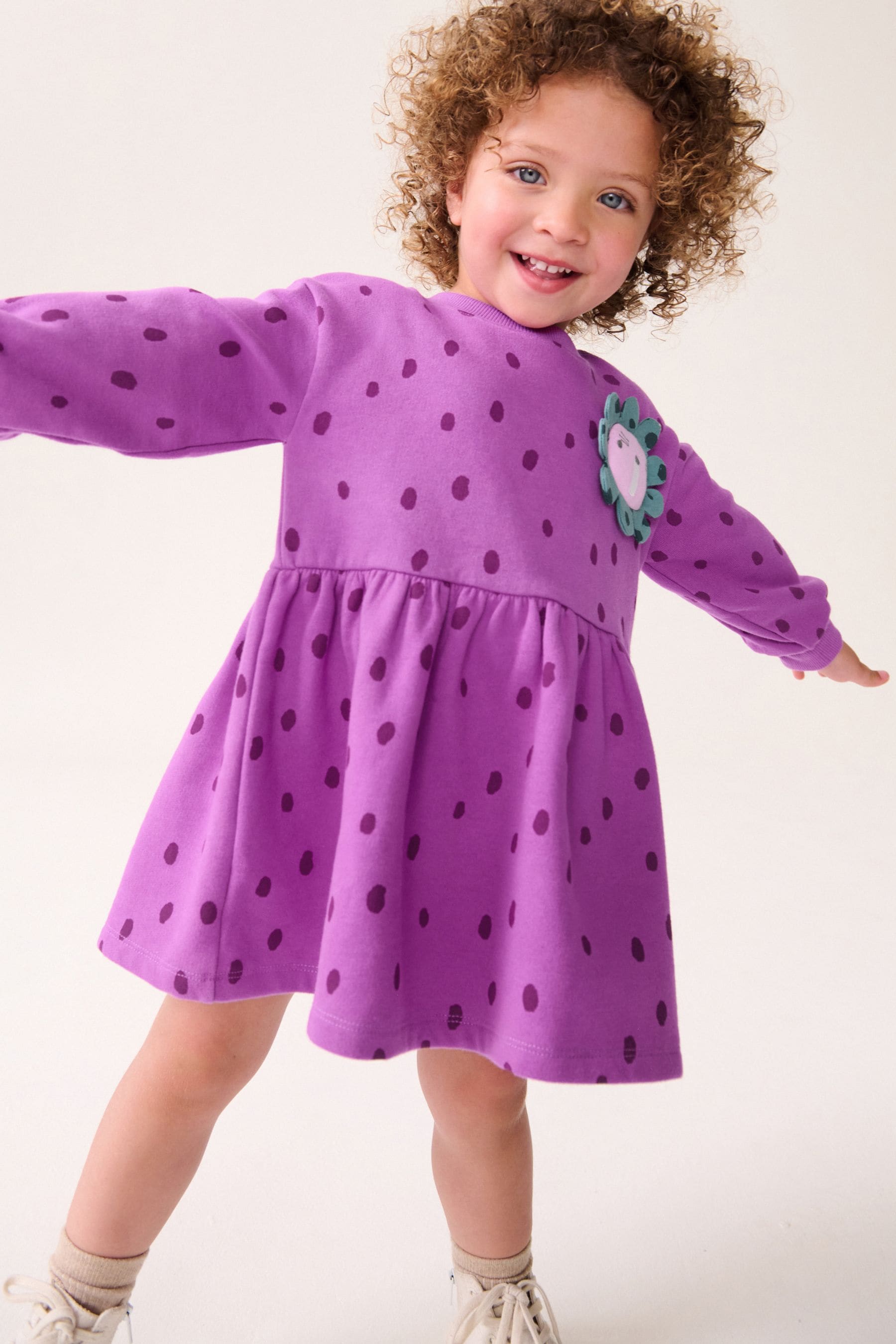 Purple Character Long Sleeve Jumper Dress (3mths-7yrs)