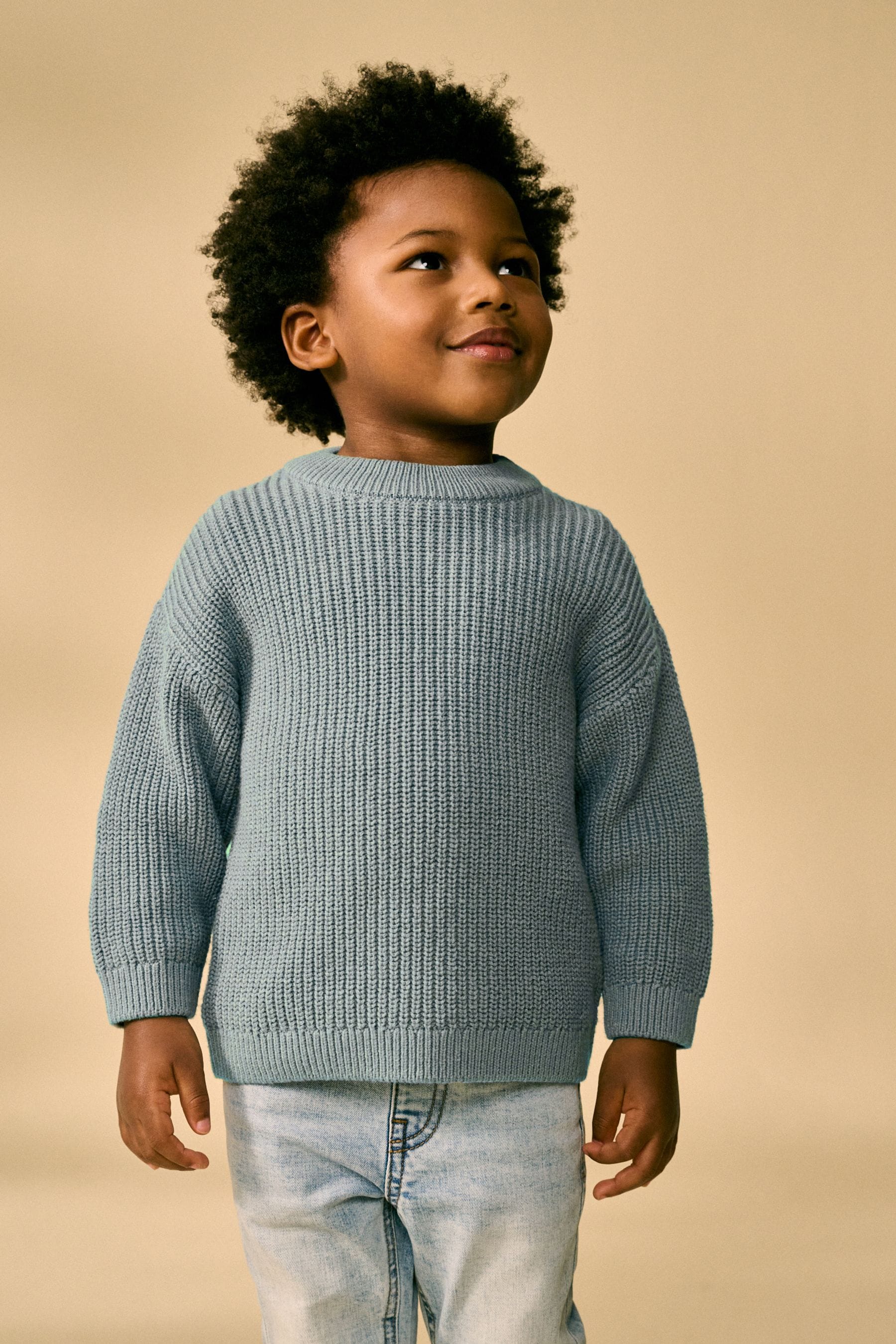 Blue Crew Neck Knitted Jumper (3mths-7yrs)