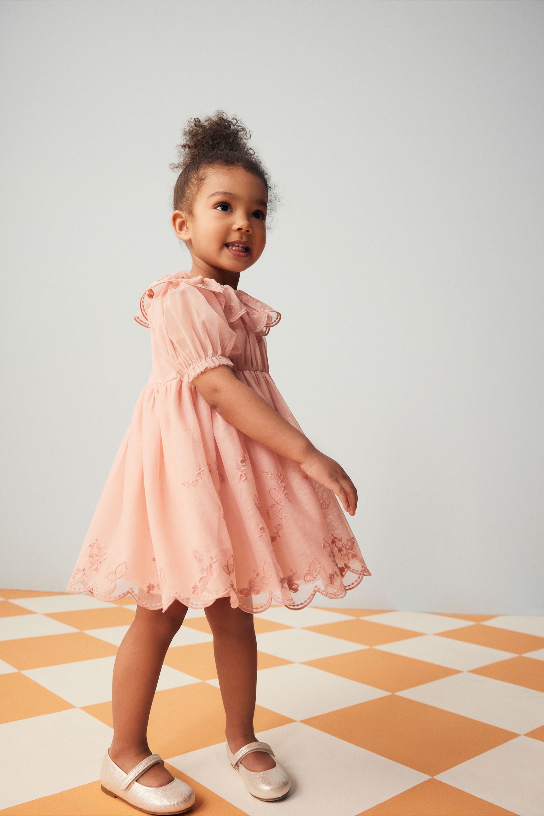 Pink Embroidered Mesh Party Dress (3mths-8yrs)