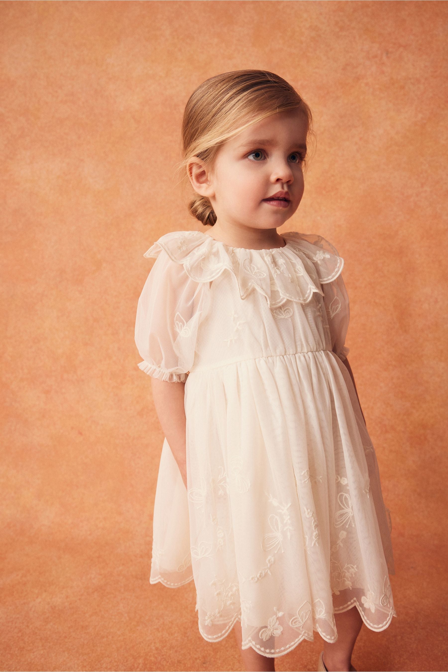 Cream Embroidered Mesh Party Dress (3mths-8yrs)