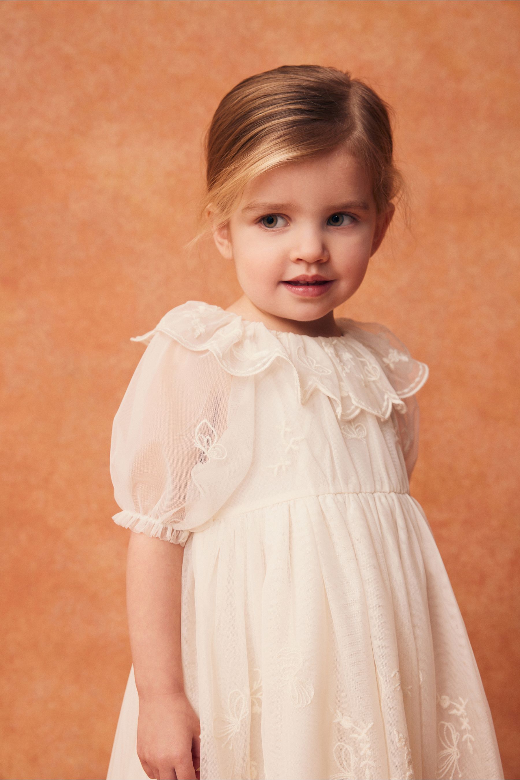 Cream Embroidered Mesh Party Dress (3mths-8yrs)