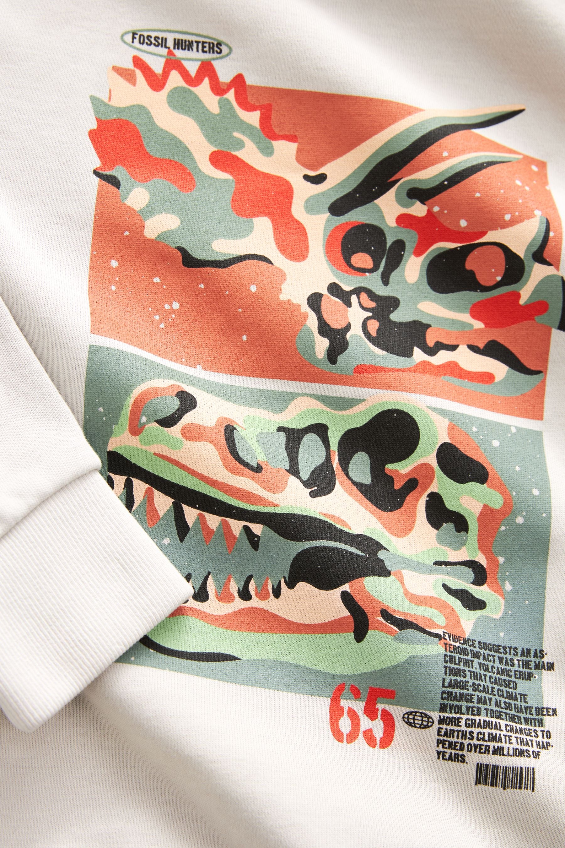 Grey Garment Dye Dinosaur Print Hoodie (3-16yrs)