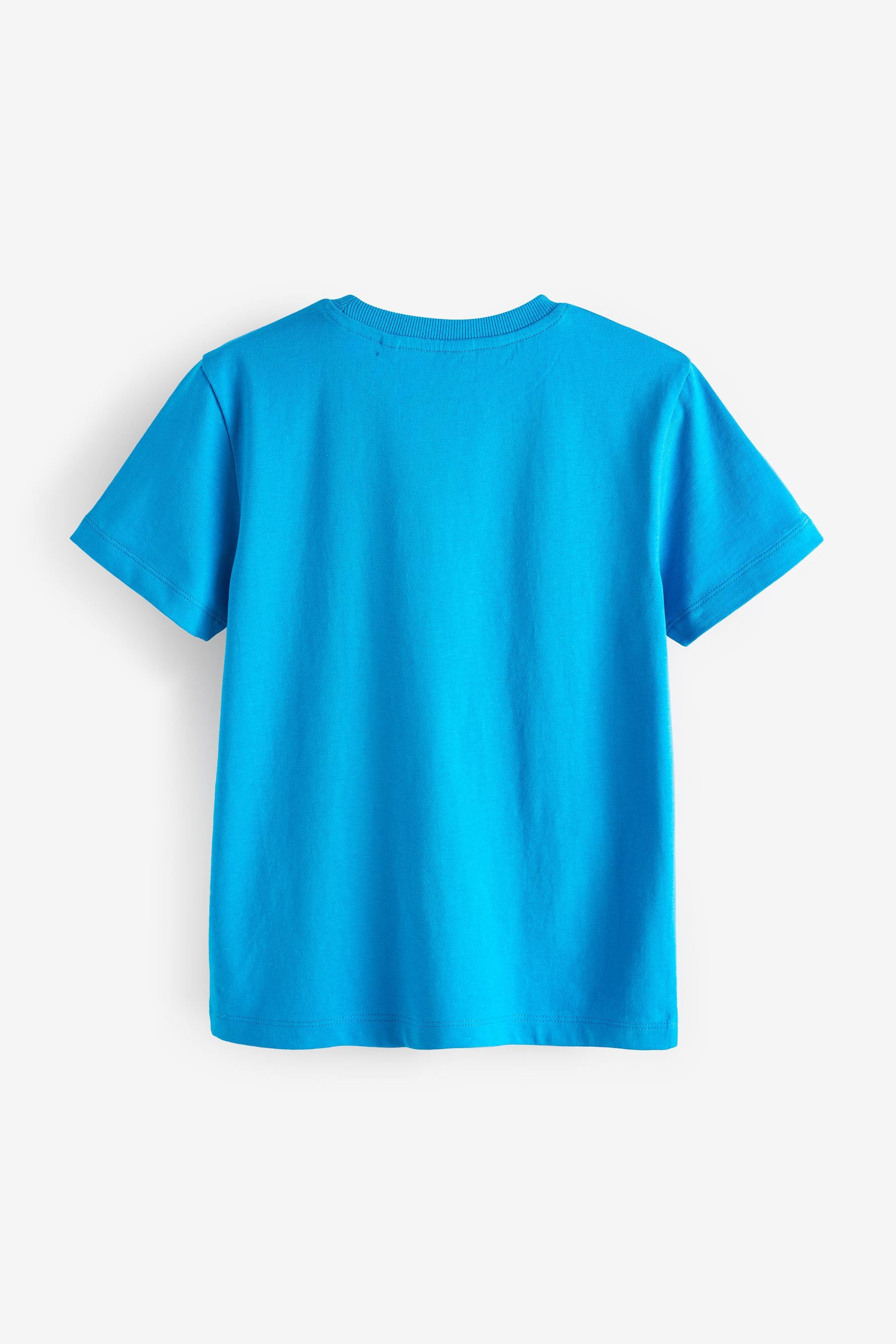 Blue Bright Regular Fit Short Sleeve T-Shirt (3-16yrs)