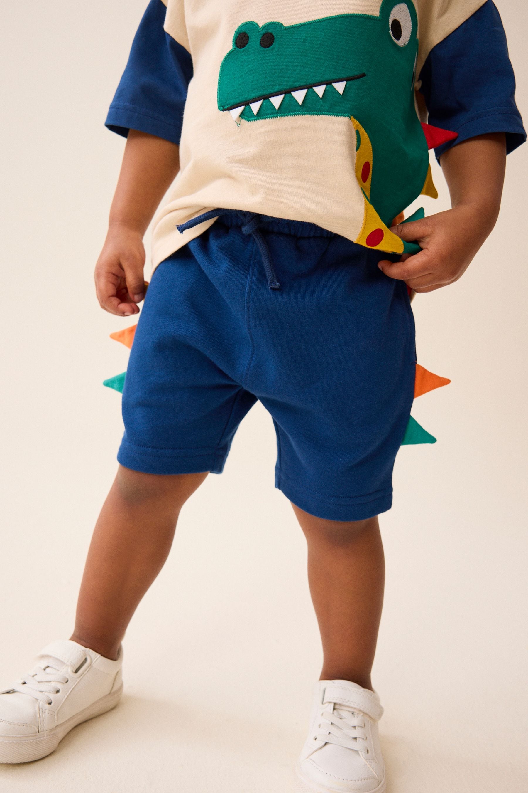 Multi T-Shirt And Shorts Set (3mths-7yrs)