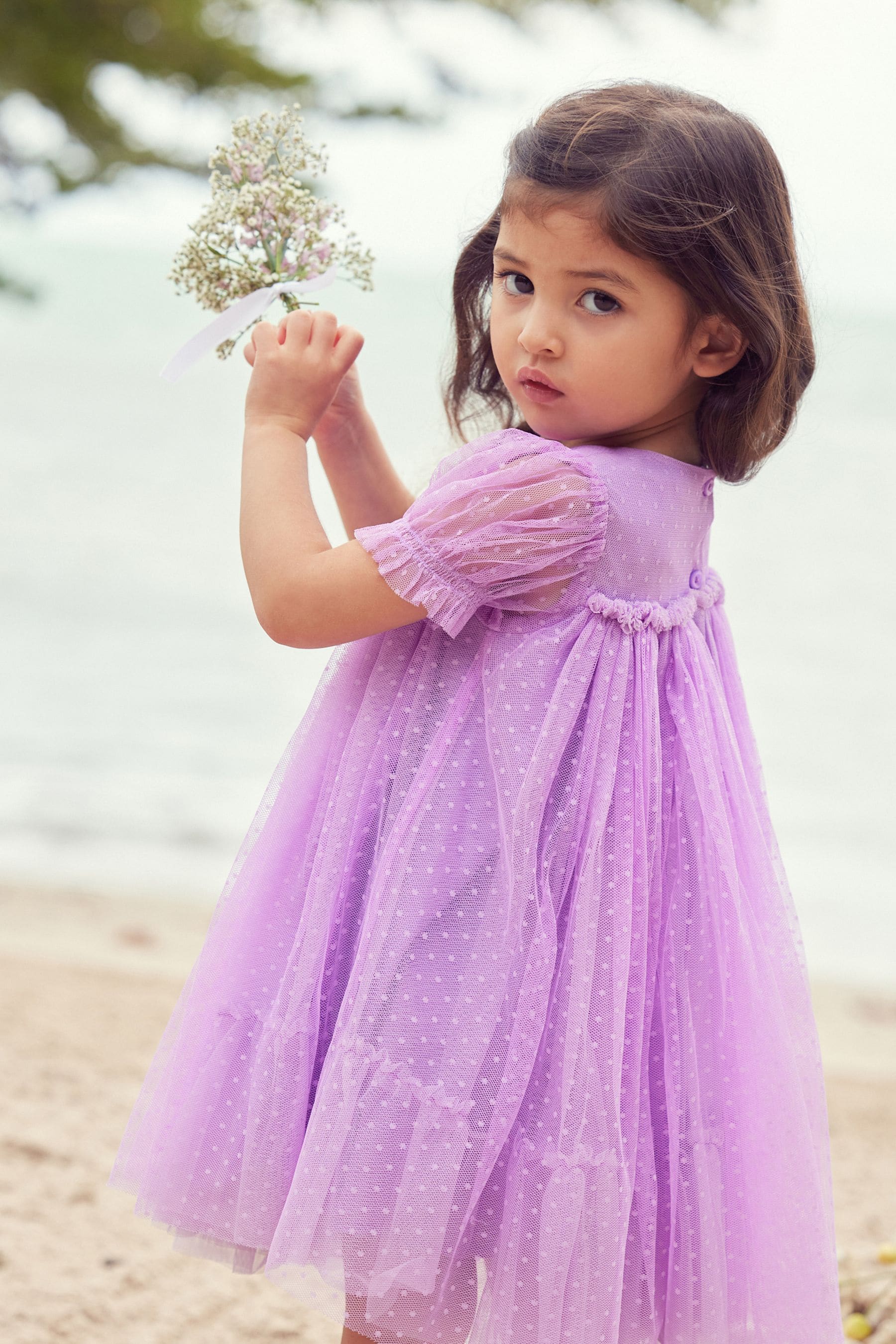 Lilac Purple Mesh Party Dress (3mths-7yrs)