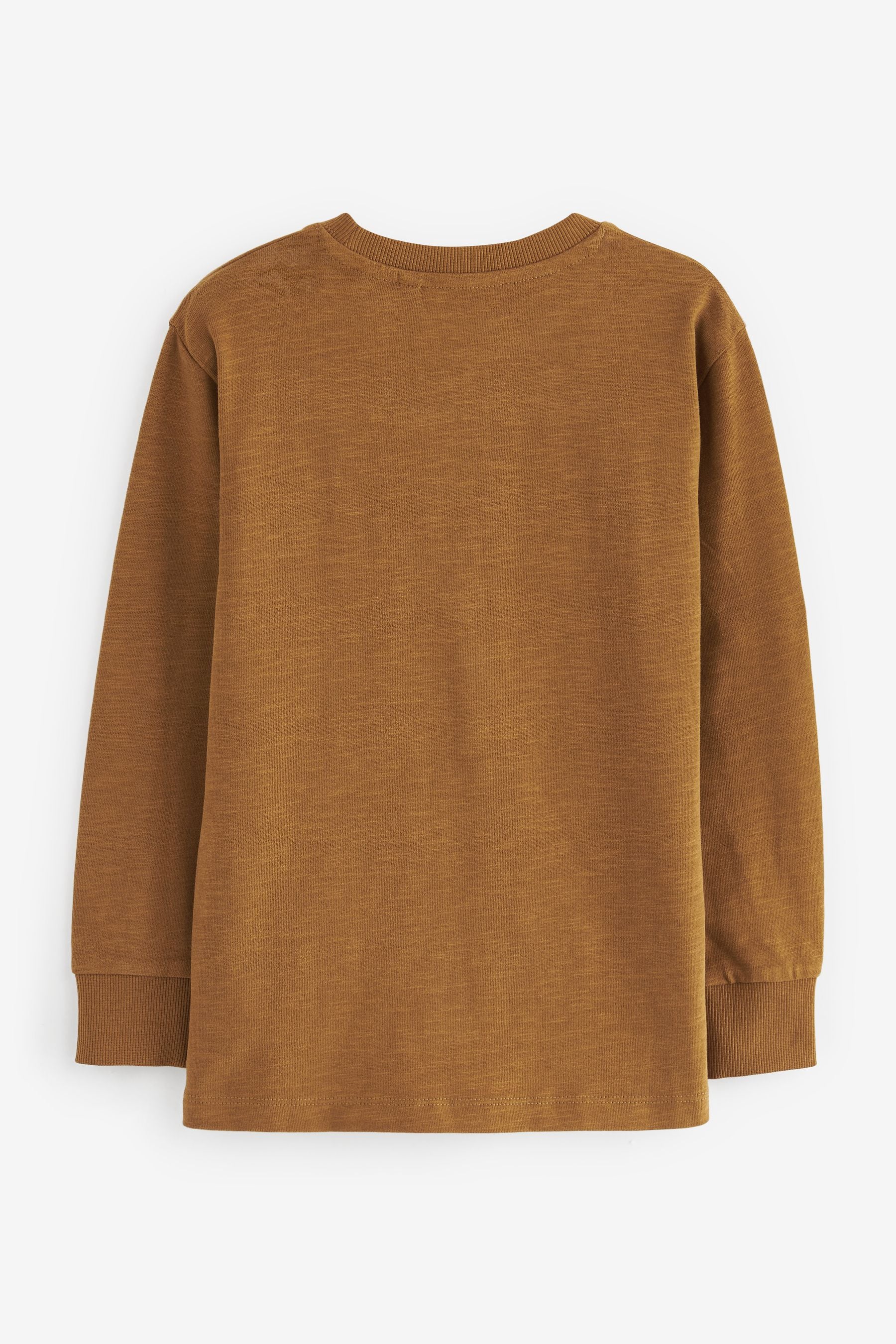 Tan Brown Long Sleeve Cosy T-Shirt (3-16yrs)