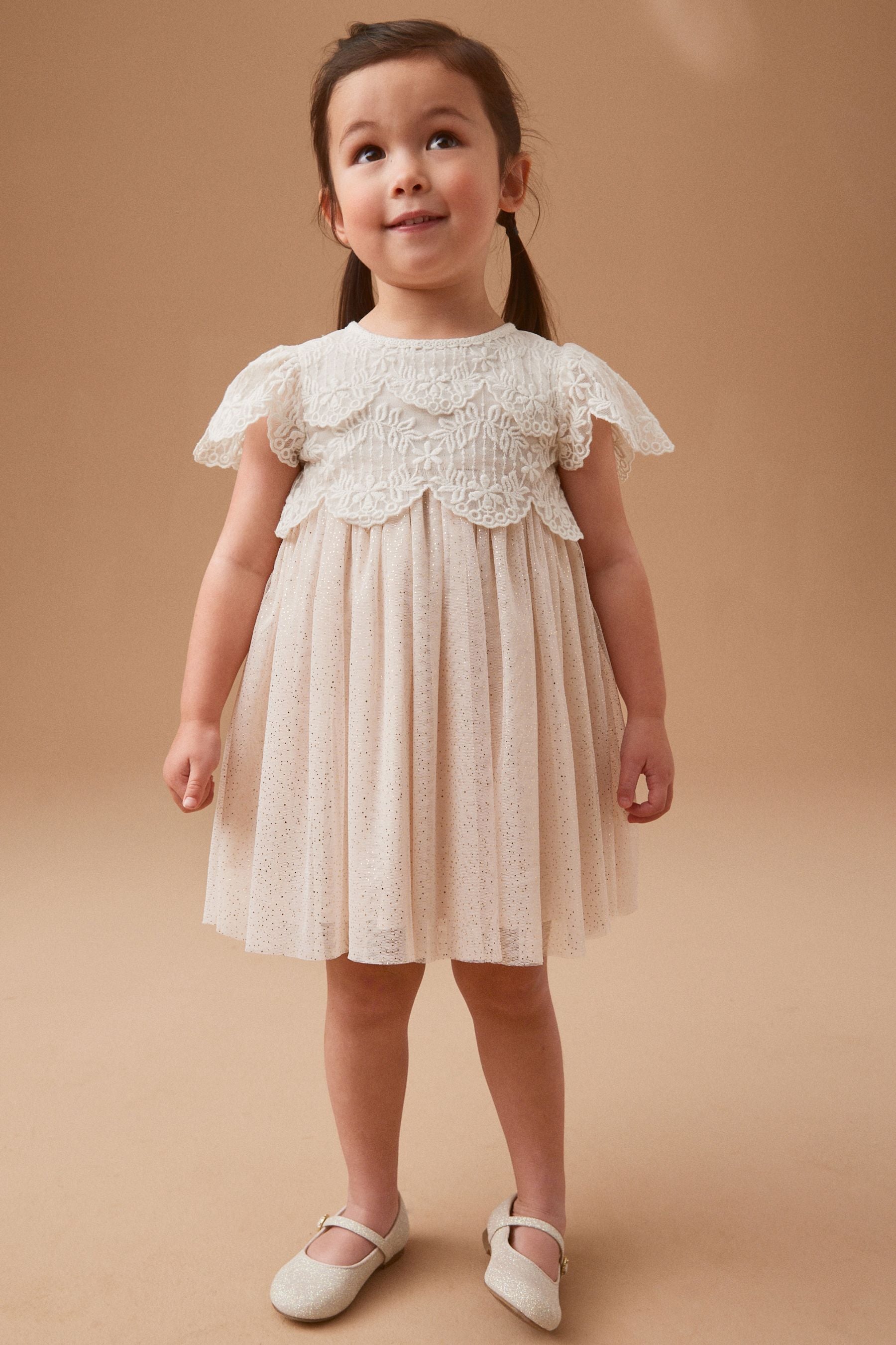 Pink Mesh Lace Dress (3mths-7yrs)