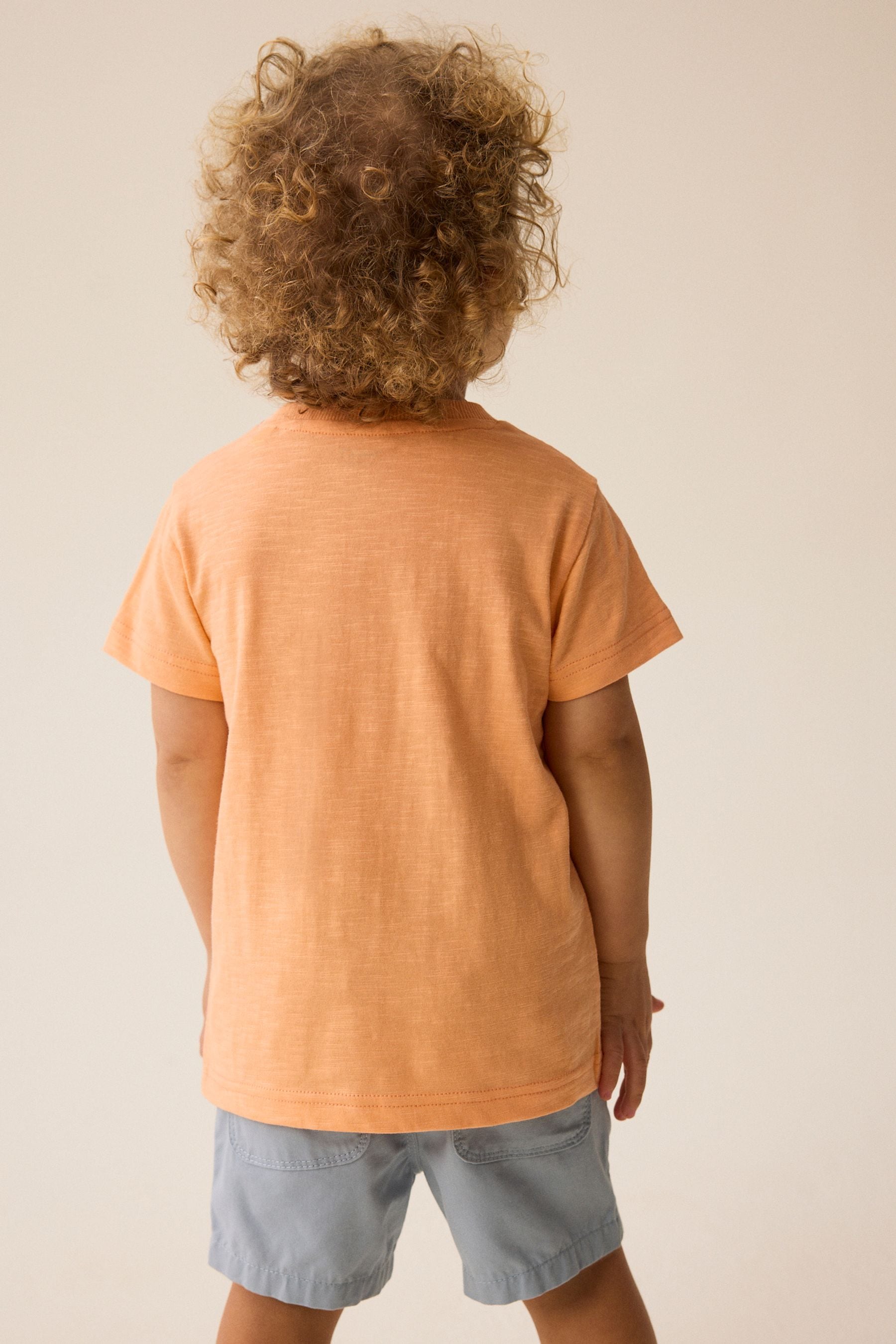 Orange Short Sleeve Interactive Character T-Shirt (3mths-7yrs)