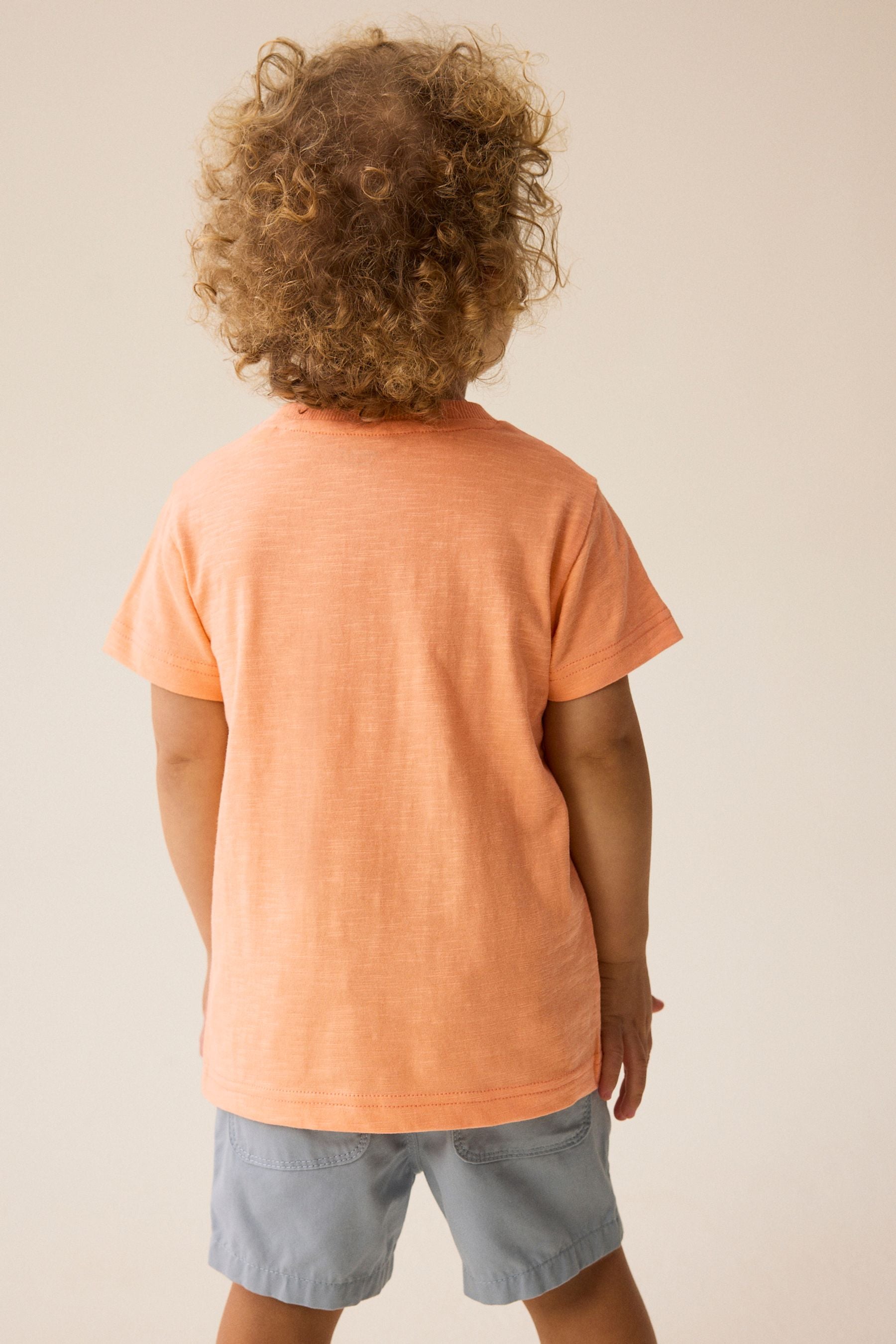 Orange Short Sleeve Interactive Character T-Shirt (3mths-7yrs)