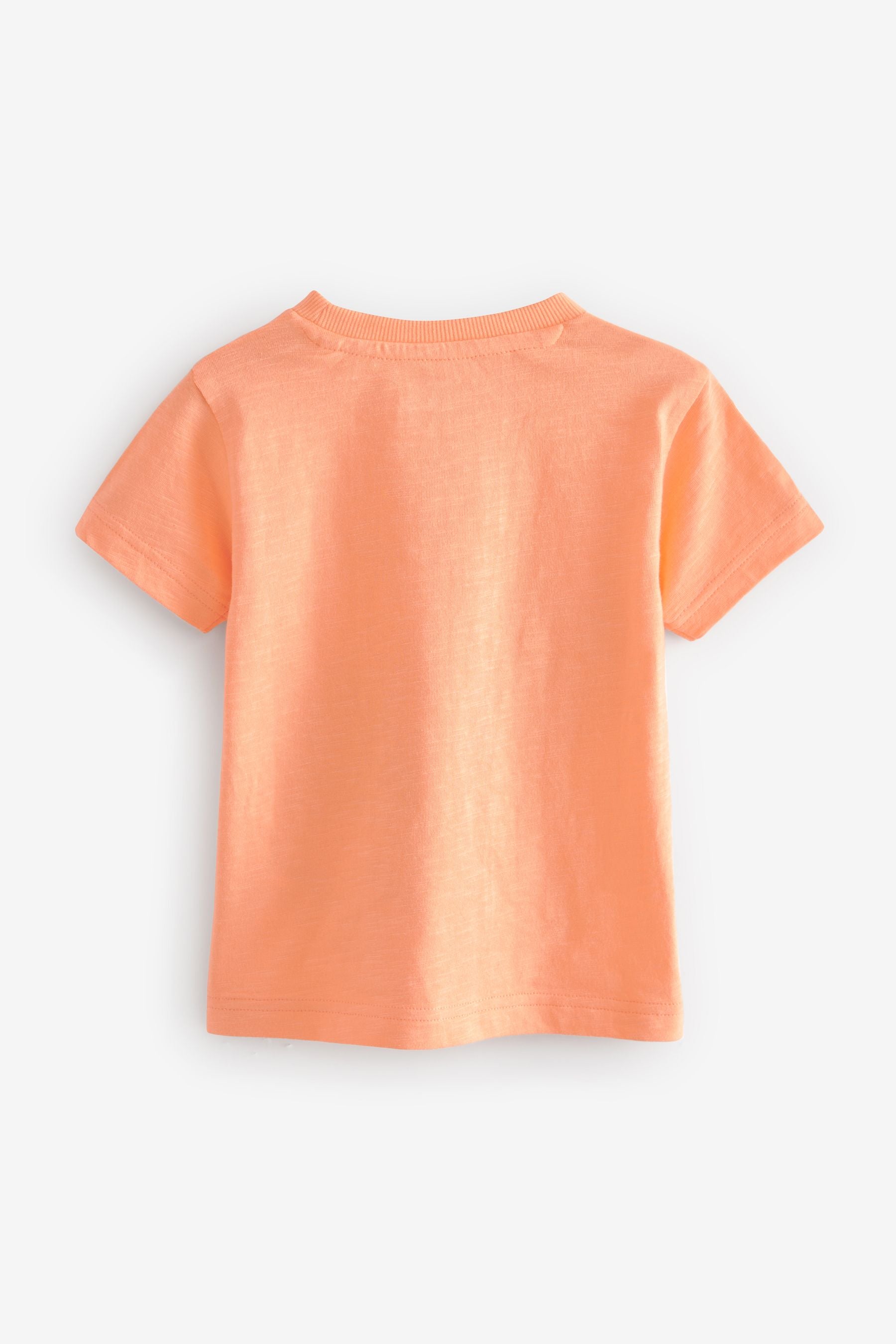 Orange Short Sleeve Interactive Character T-Shirt (3mths-7yrs)