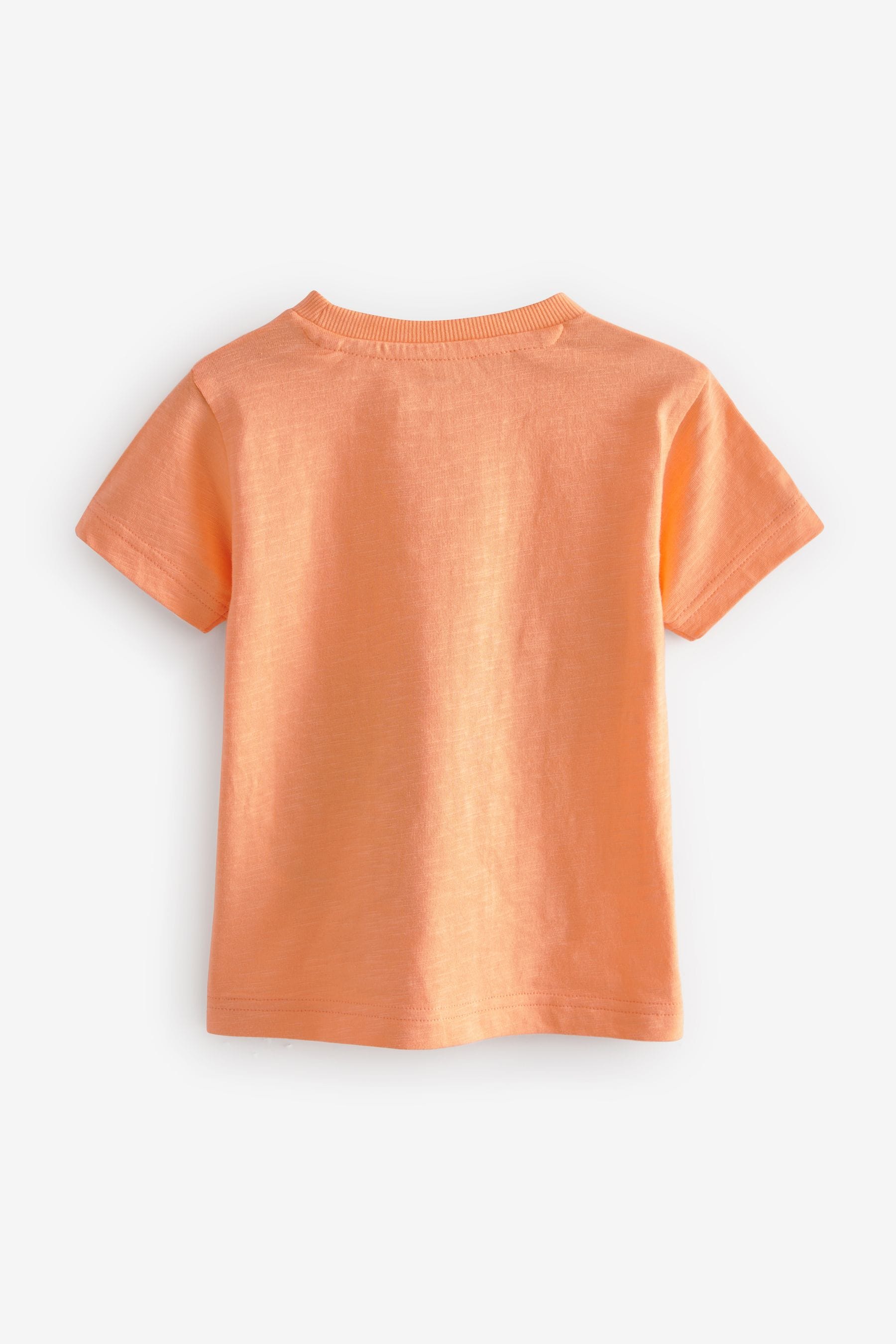 Orange Short Sleeve Interactive Character T-Shirt (3mths-7yrs)