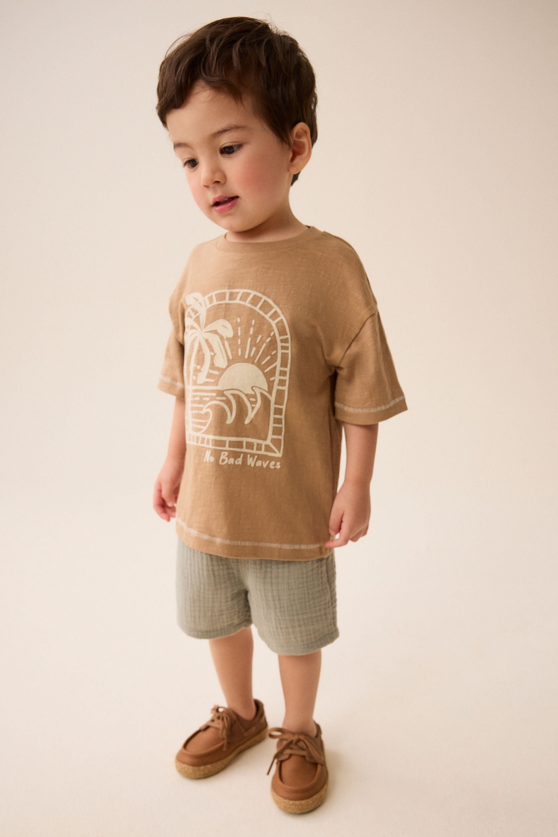 Tan Brown 100% Cotton Short Sleeve Character T-Shirt (3mths-7yrs)