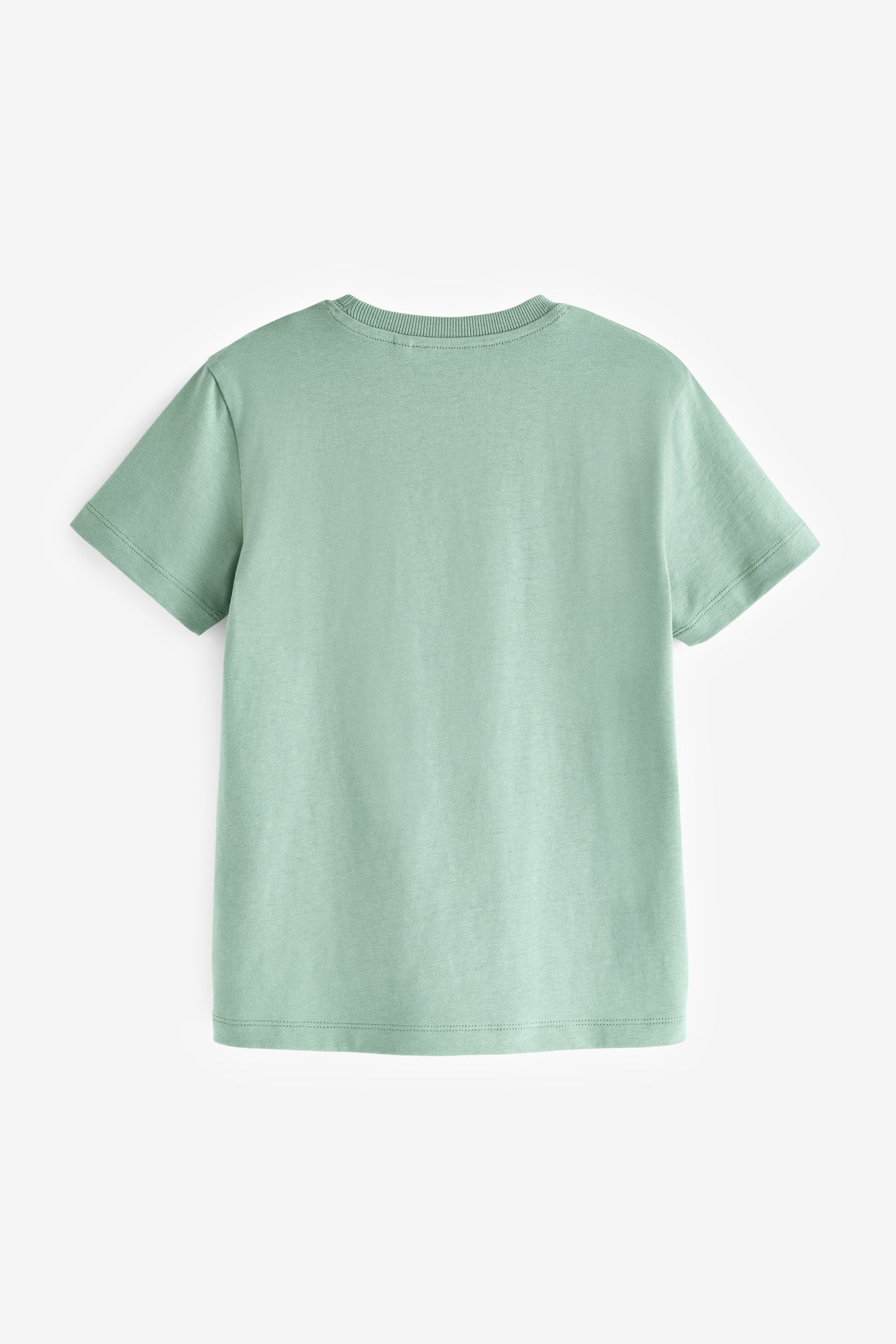 Green Pale Regular Fit Short Sleeve 100% Cotton T-Shirt (3-16yrs)