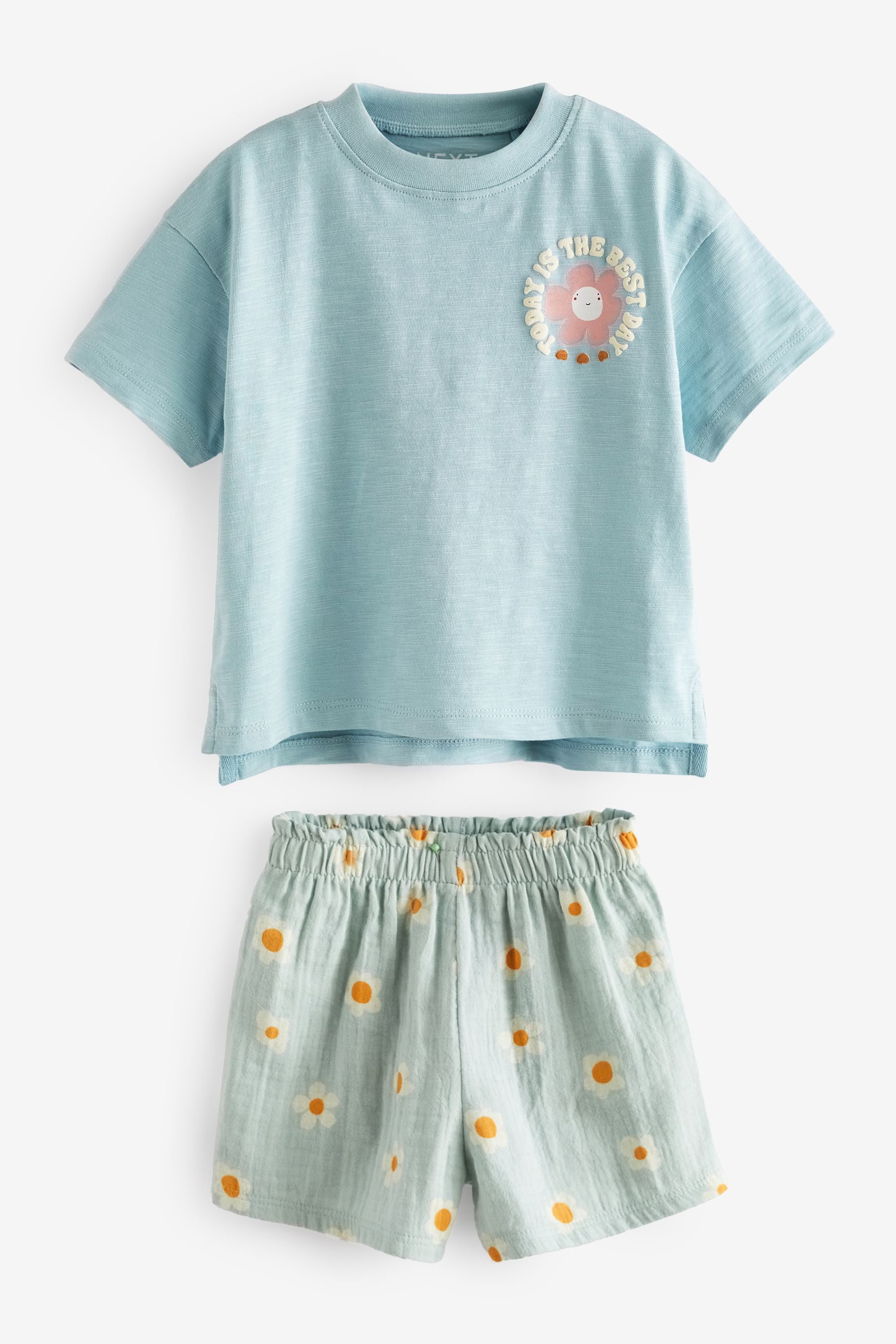 Blue Flower T-Shirt and Shorts Set (3mths-7yrs)