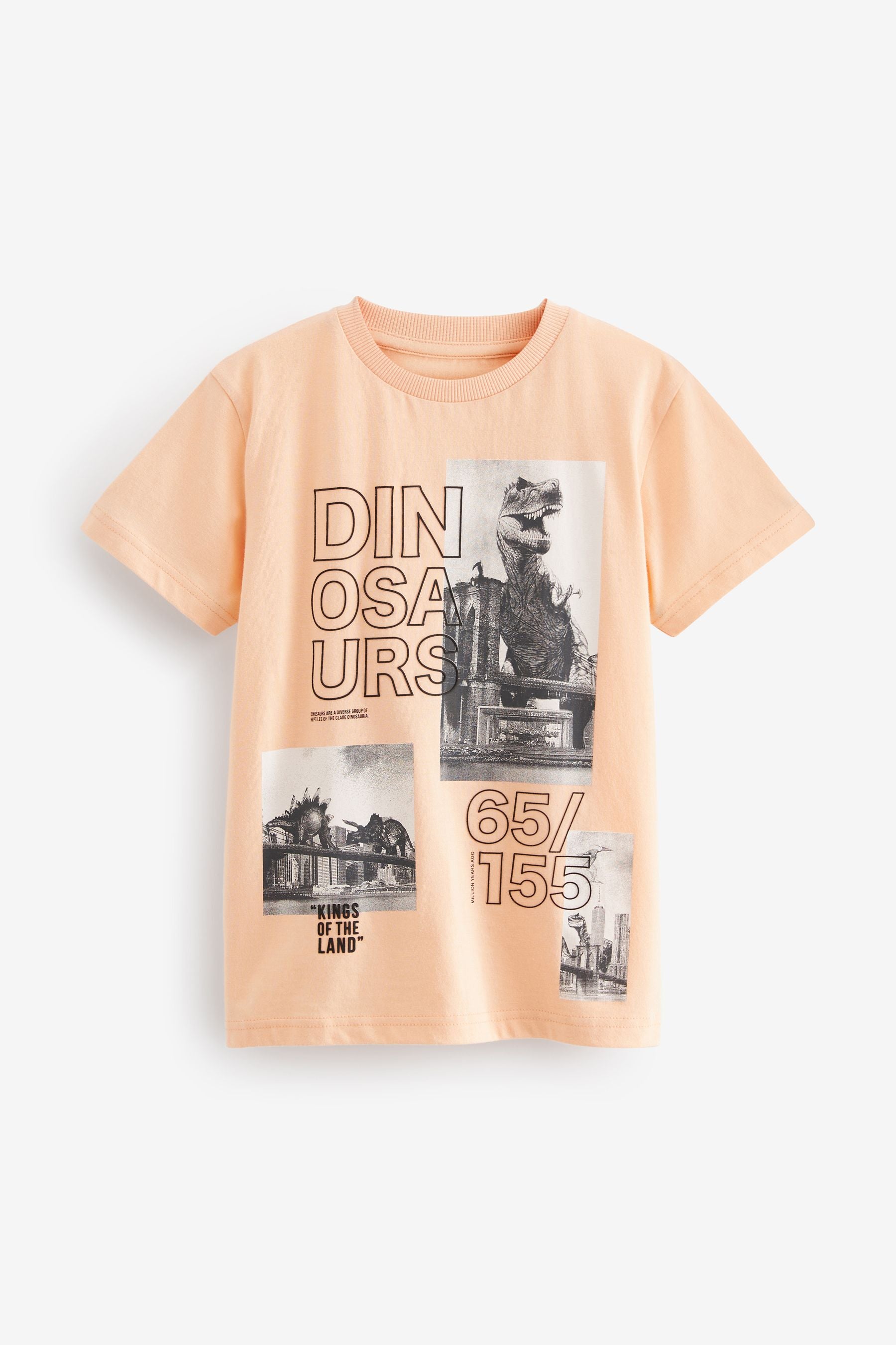 Peach Pink Photo Dino Short Sleeve Graphic T-Shirt (3-16yrs)