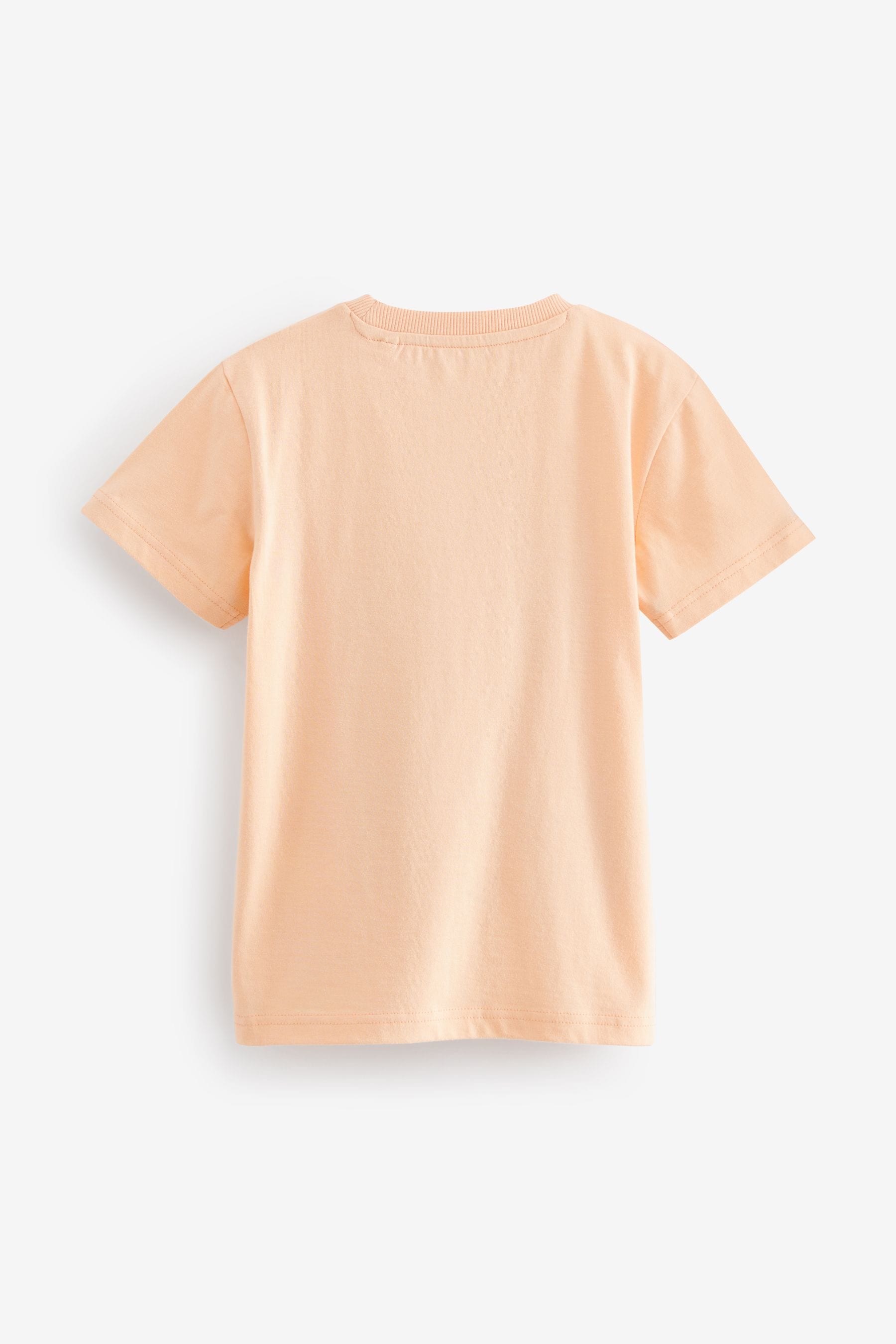 Peach Pink Photo Dino Short Sleeve Graphic T-Shirt (3-16yrs)