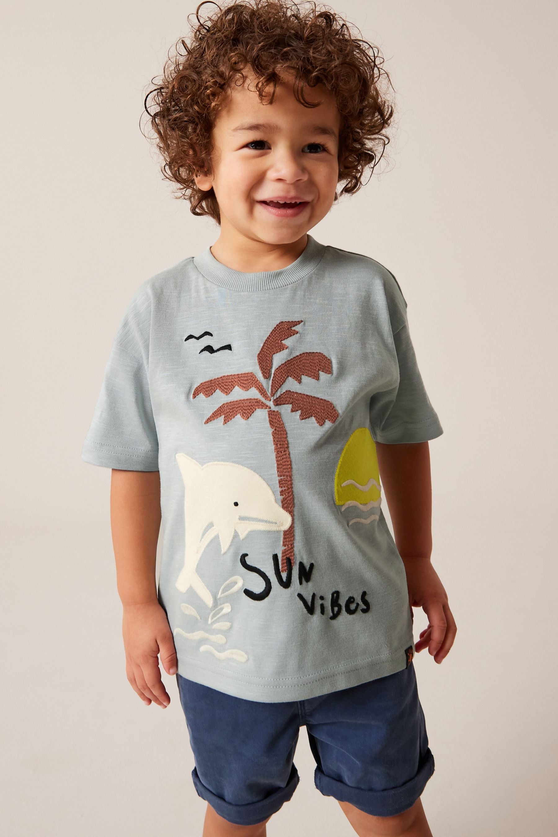 Blue/Grey Dolphin Appliqu?© Character 100% Cotton Short Sleeve T-Shirt (3mths-7yrs)