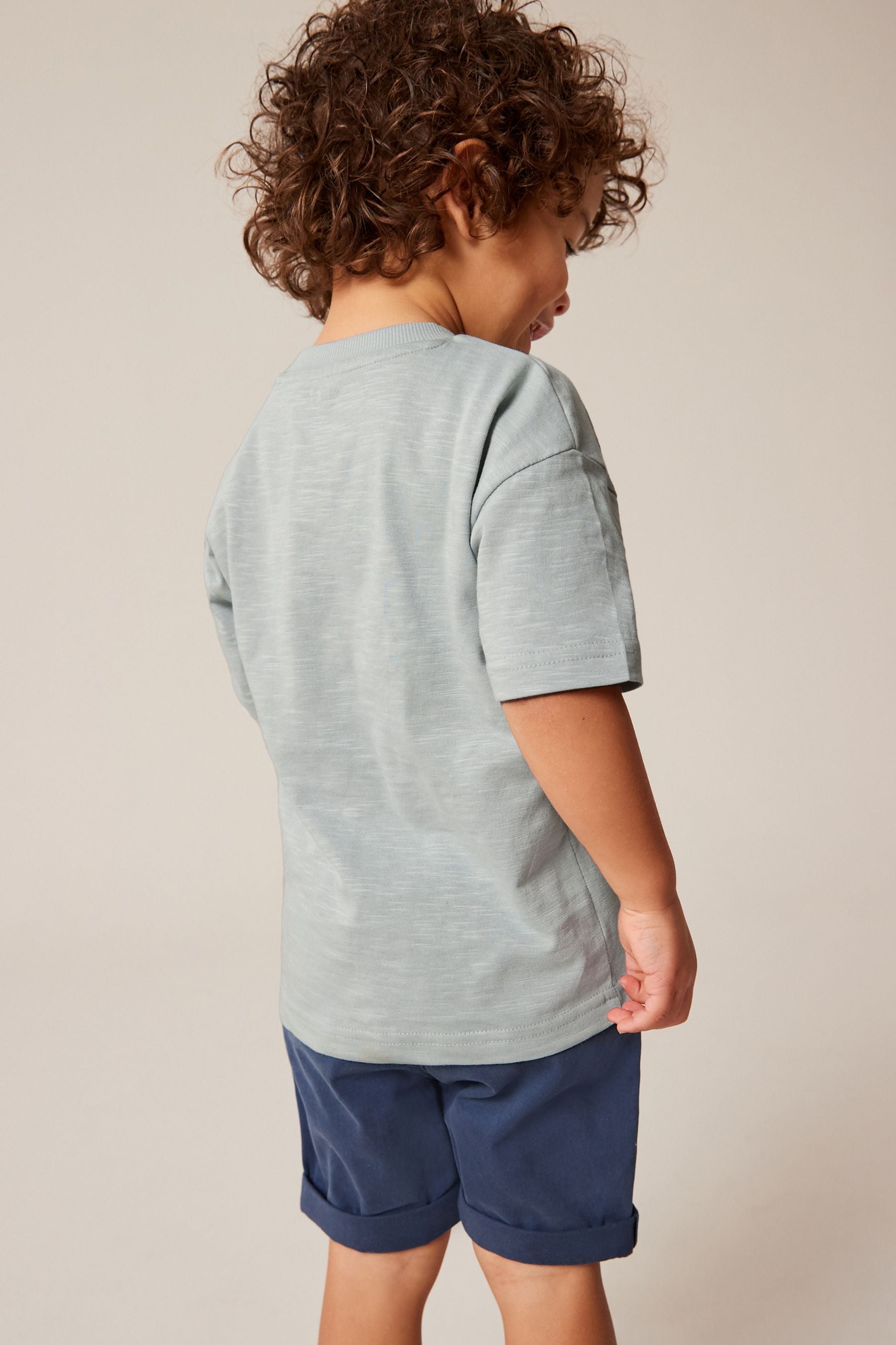 Blue/Grey Dolphin Appliqu?© Character 100% Cotton Short Sleeve T-Shirt (3mths-7yrs)