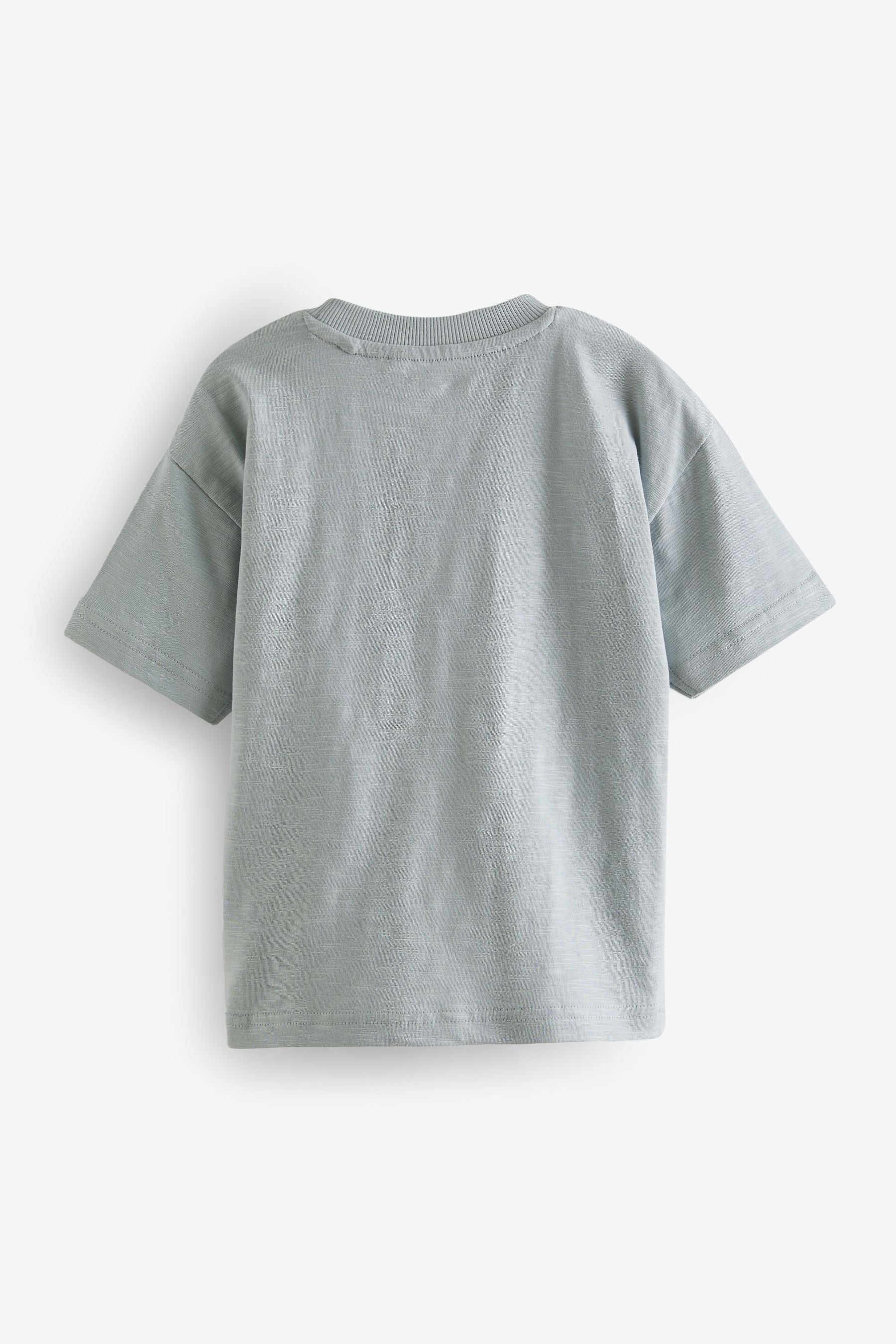 Blue/Grey Dolphin Appliqu?© Character 100% Cotton Short Sleeve T-Shirt (3mths-7yrs)