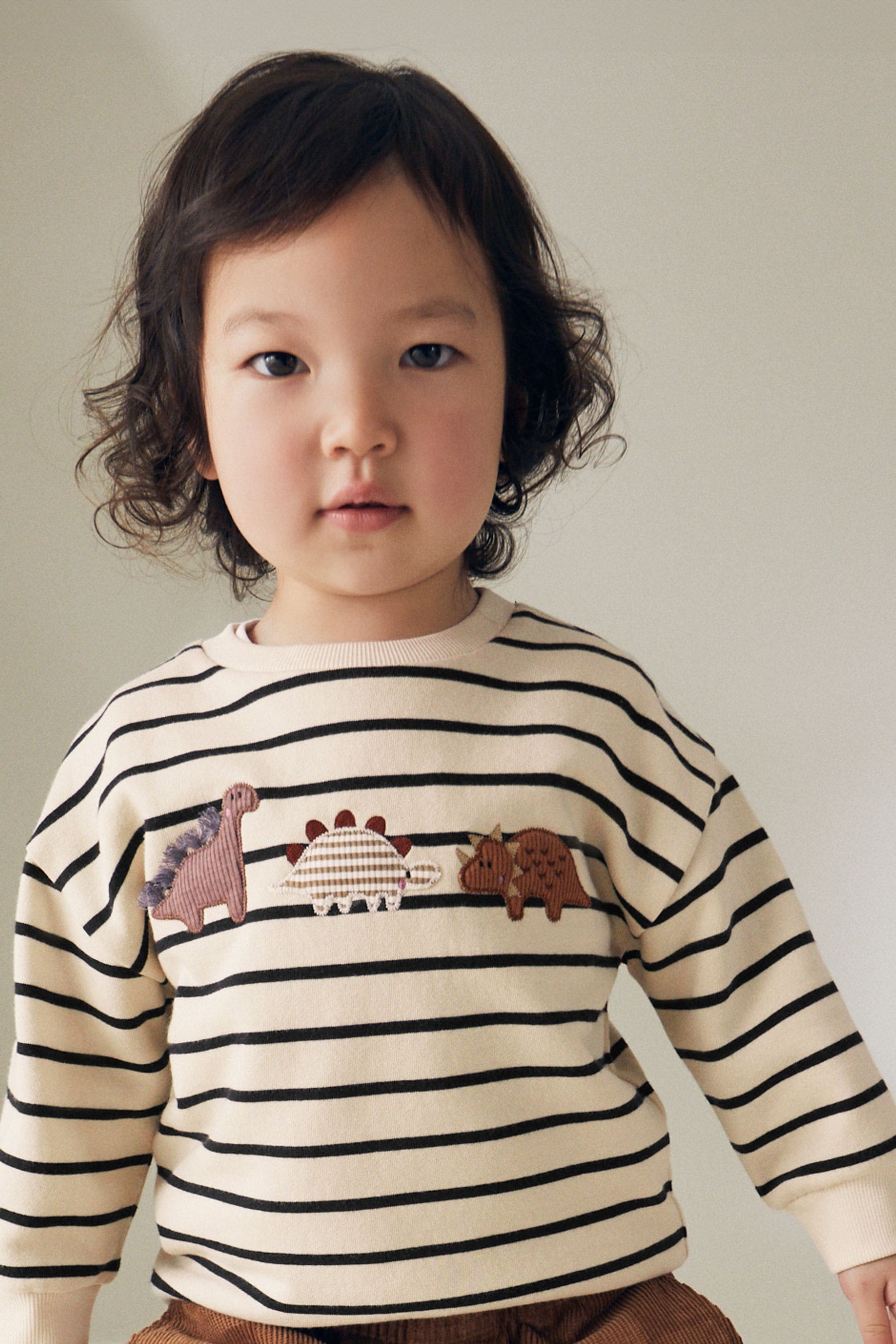 Ecru Cream Stripe Dinosaur Embroidered Crew Neck 100% Cotton Sweatshirt (3mths-7yrs)