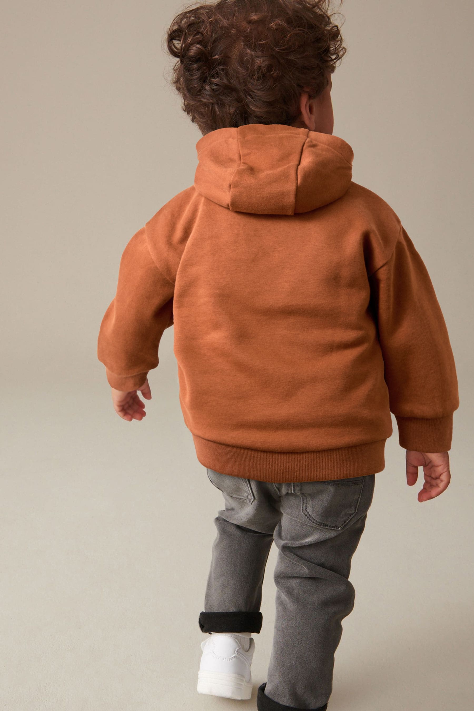 Rust Brown Dinosaur Embroidered Placement Hoodie (3mths-7yrs)