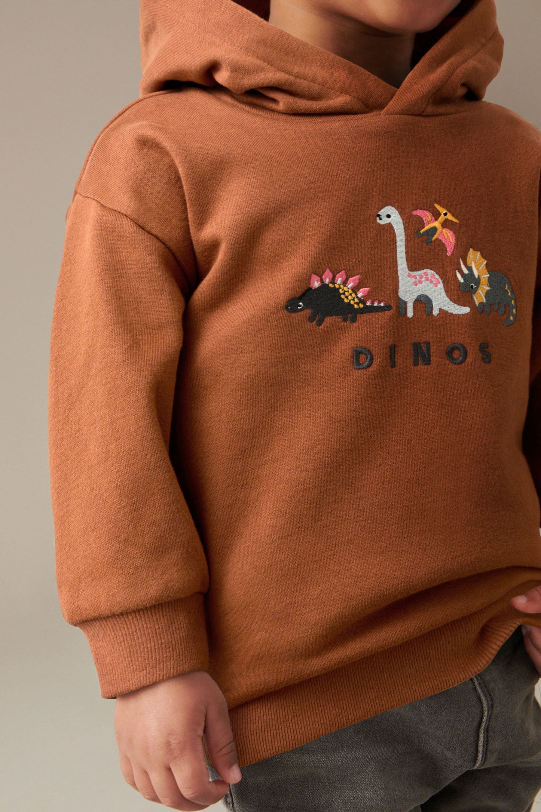 Rust Brown Dinosaur Embroidered Placement Hoodie (3mths-7yrs)