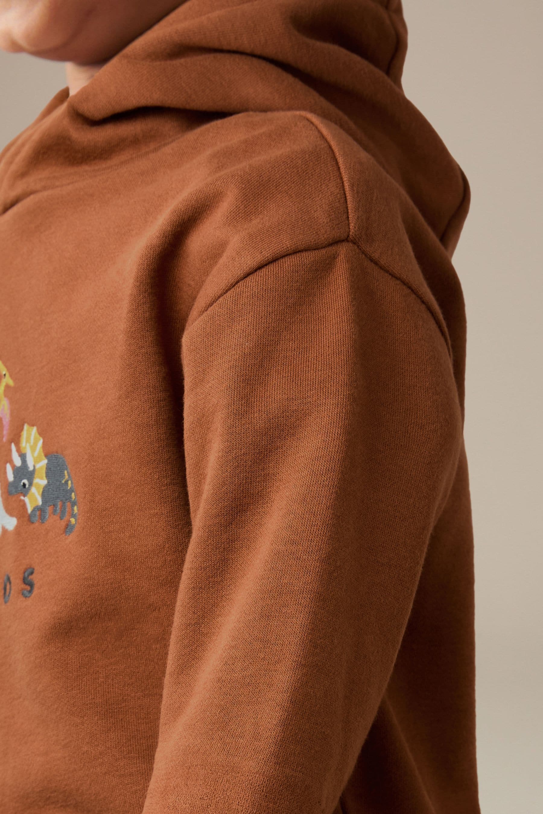 Rust Brown Dinosaur Embroidered Placement Hoodie (3mths-7yrs)