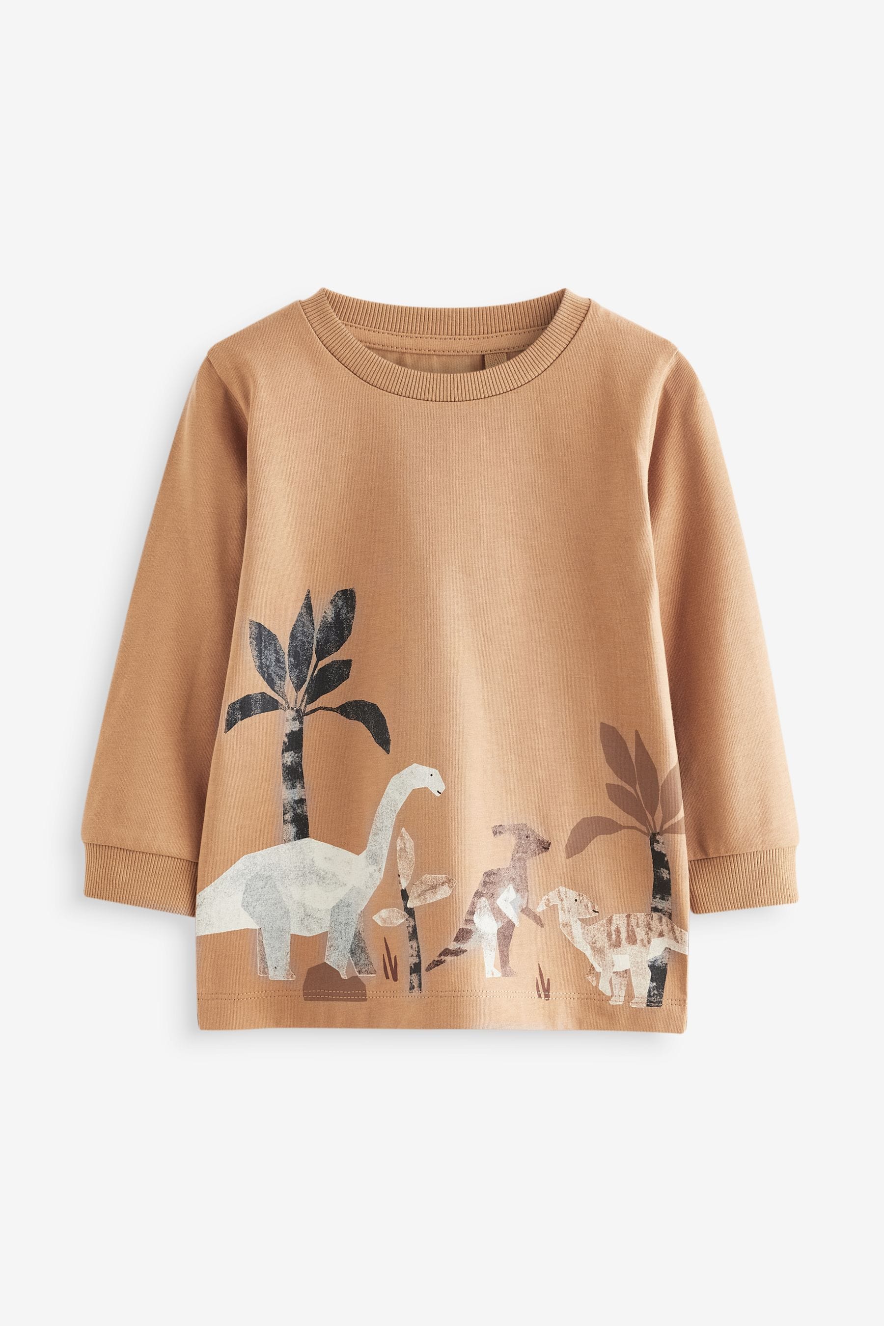 Neutral Dinosaur 100% Cotton Long Sleeve Animal Print Character T-Shirts 3 Pack (3mths-7yrs)