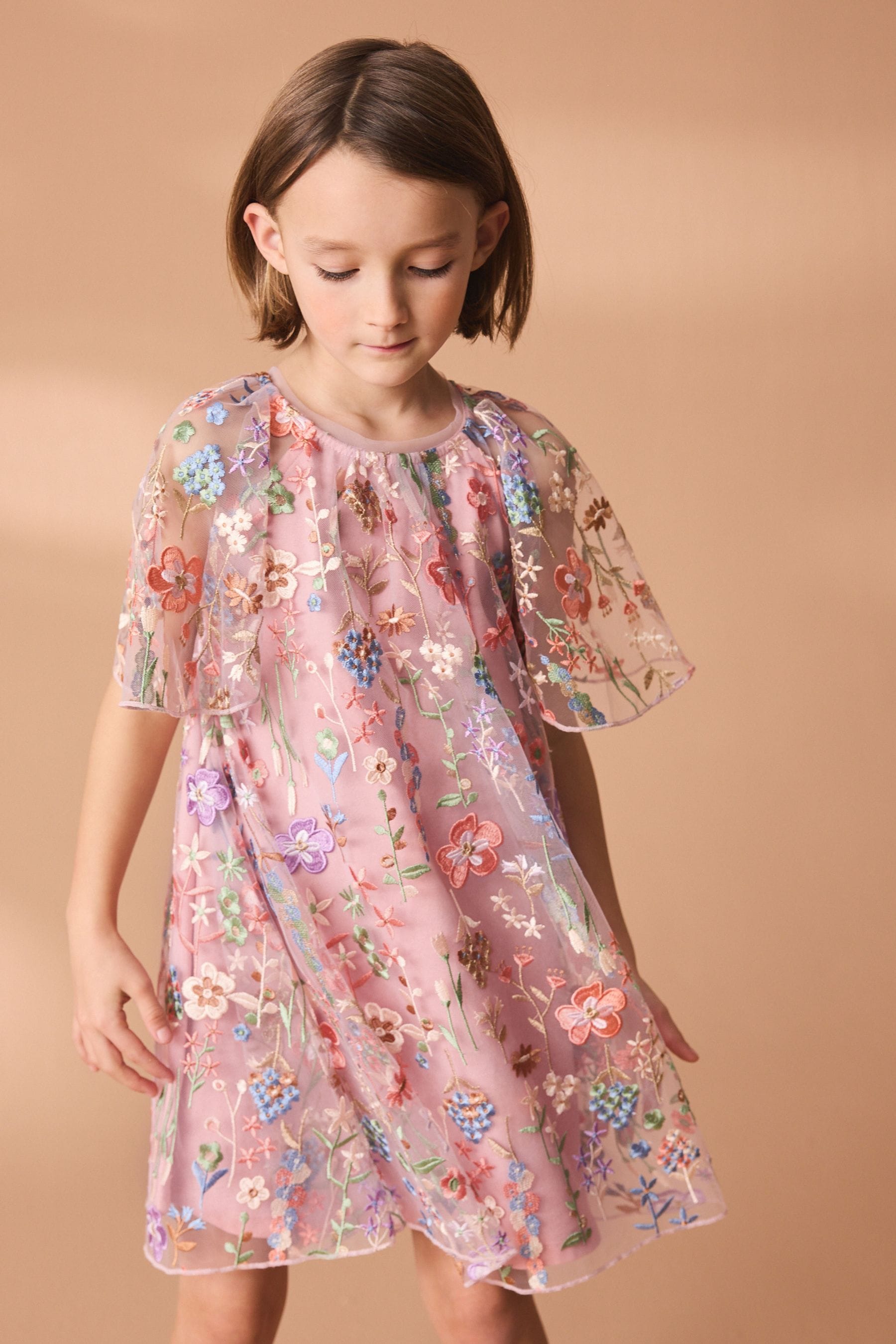 Pink Floral Embroidered Mesh Occasion Dress (3-16yrs)