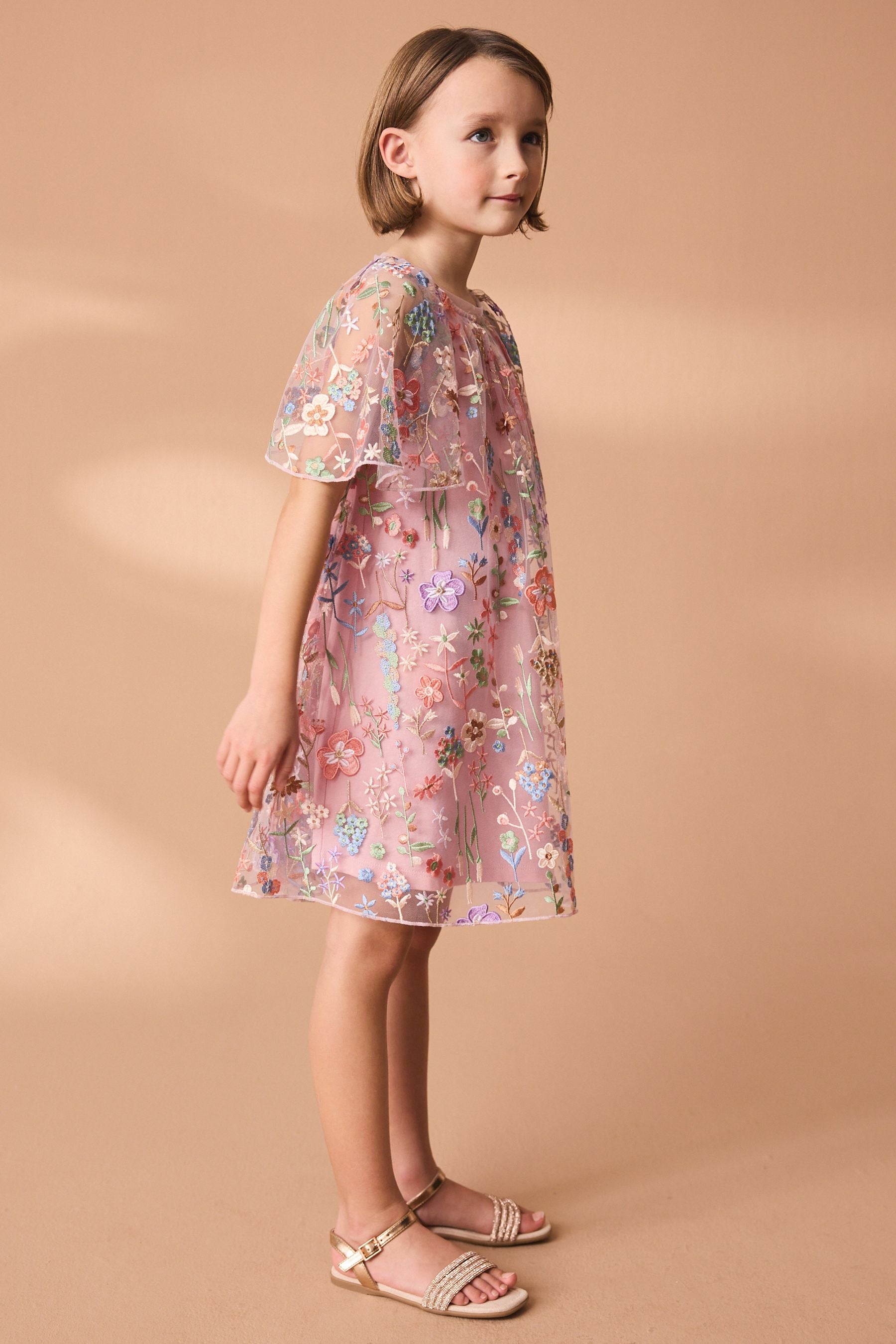 Pink Floral Embroidered Mesh Occasion Dress (3-16yrs)