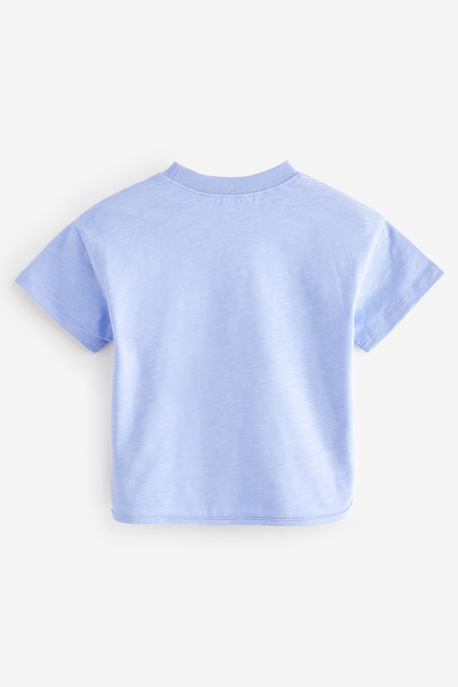 Blue 100% Cotton Short Sleeve Appliqué T-Shirt (3mths-7yrs)