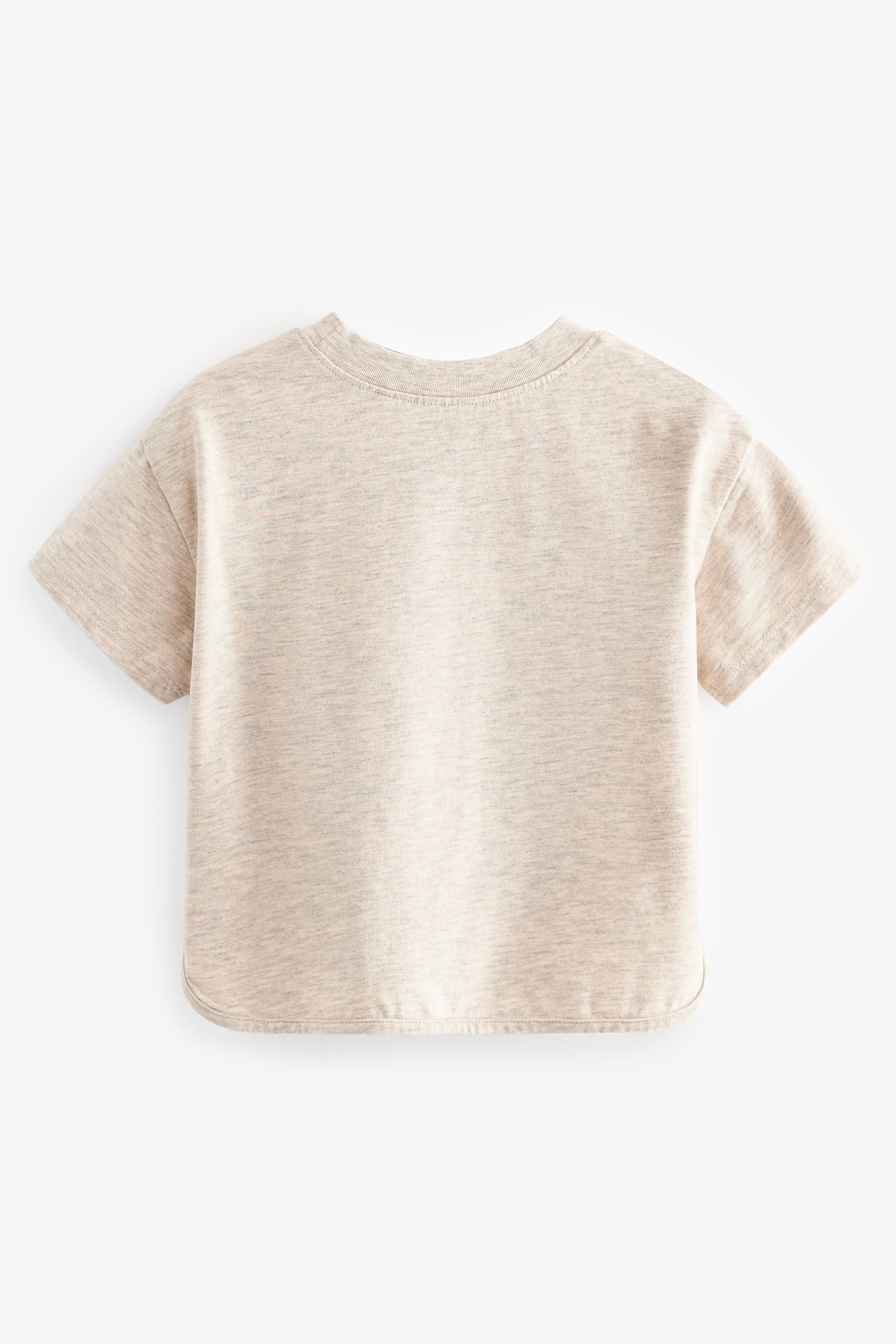 Oatmeal Short Sleeve Appliqué T-Shirt (3mths-7yrs)