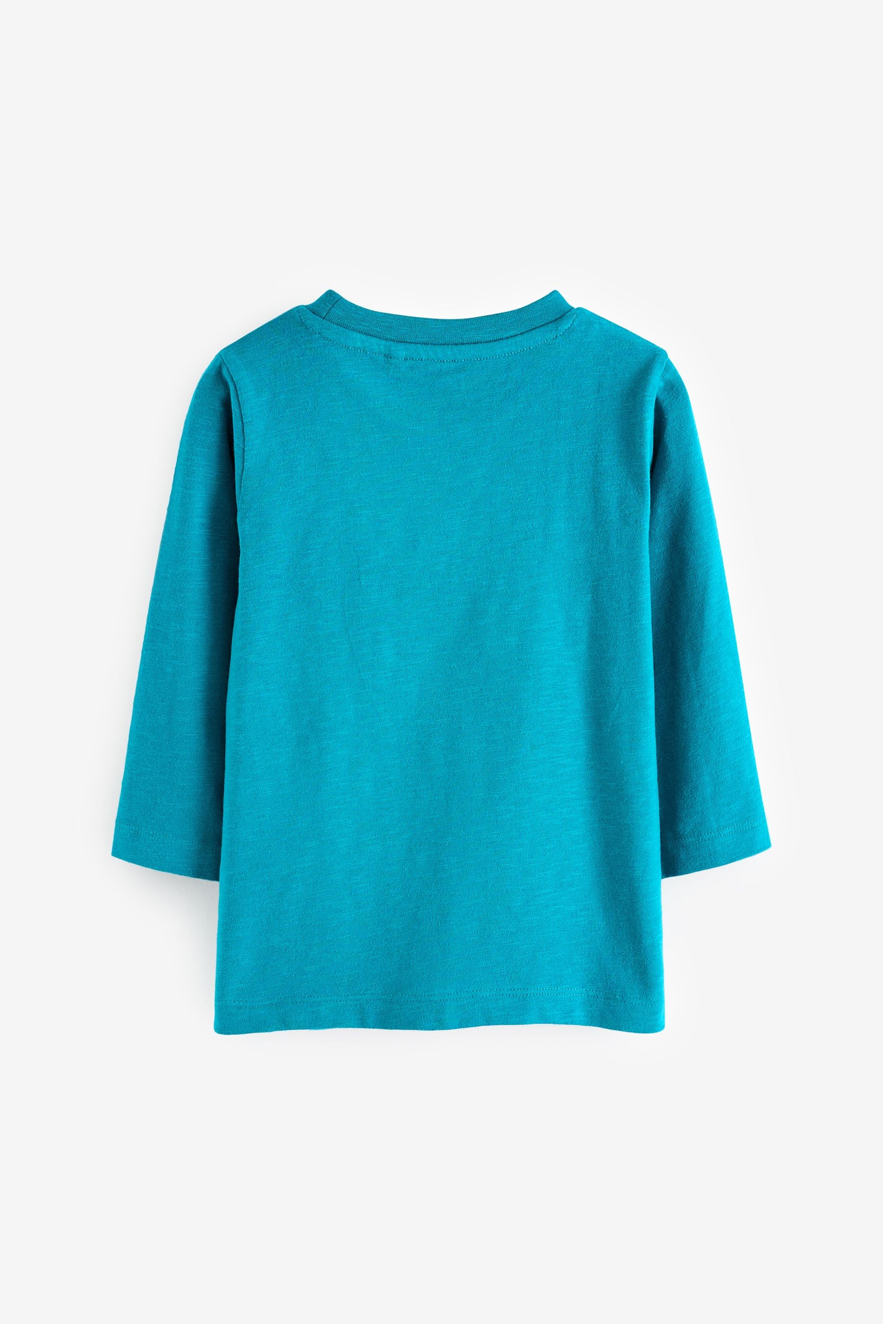 Turquoise Blue Dino 100% Cotton Long Sleeve Semi Plain T-Shirt (3mths-7yrs)