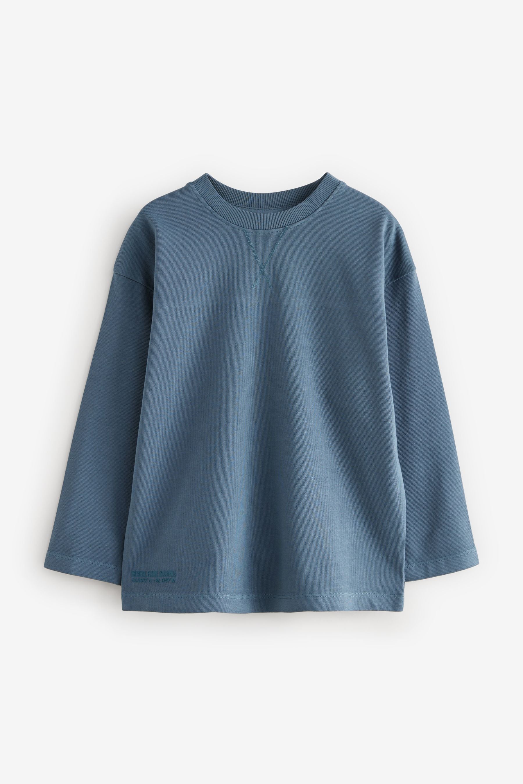 Blue 100% Cotton Long Sleeve Heavyweight Washed T-Shirt (3-16yrs)