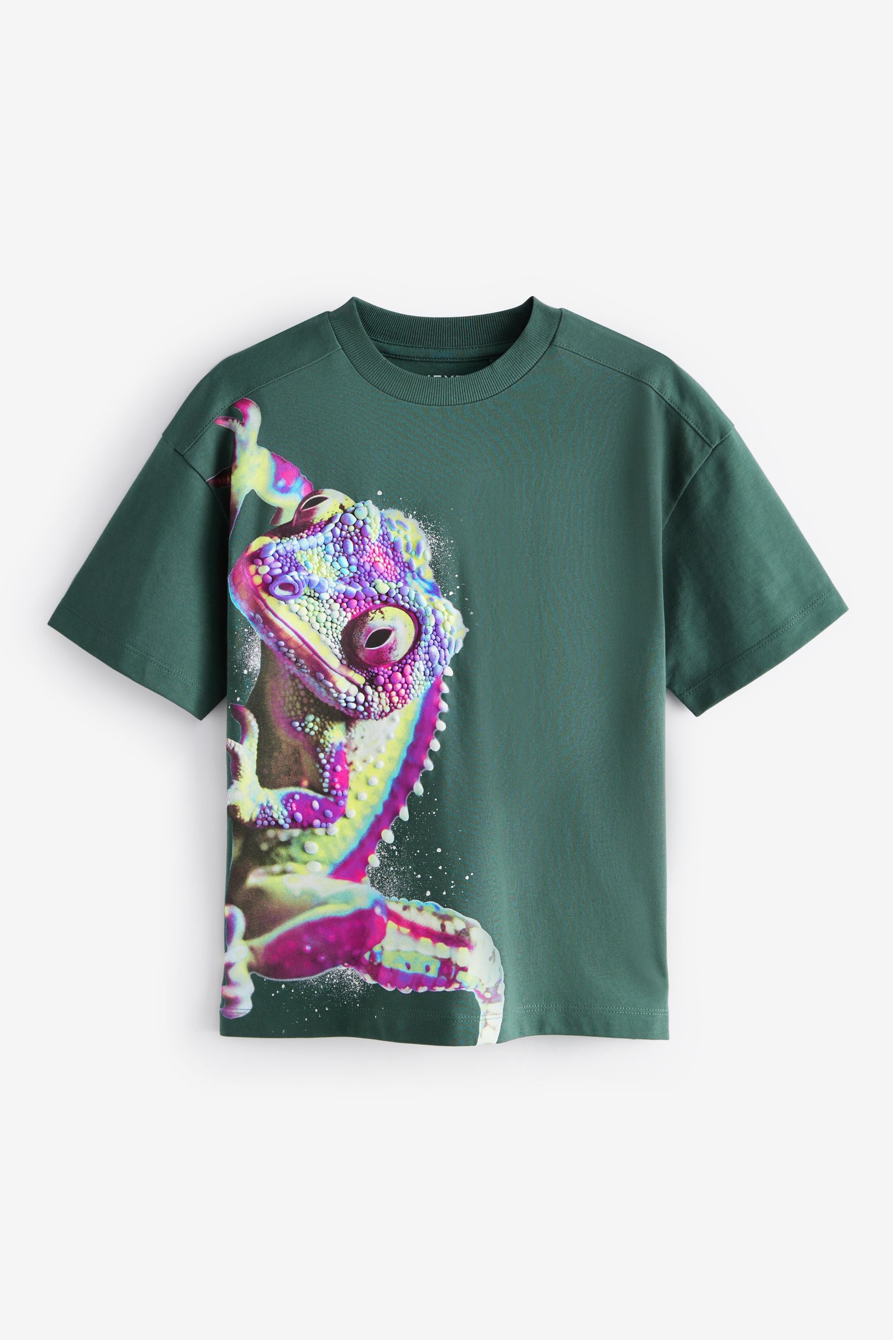 Green Ghecko Relaxed Fit Short Sleeve 100% Cotton Graphic T-Shirt (3-16yrs)