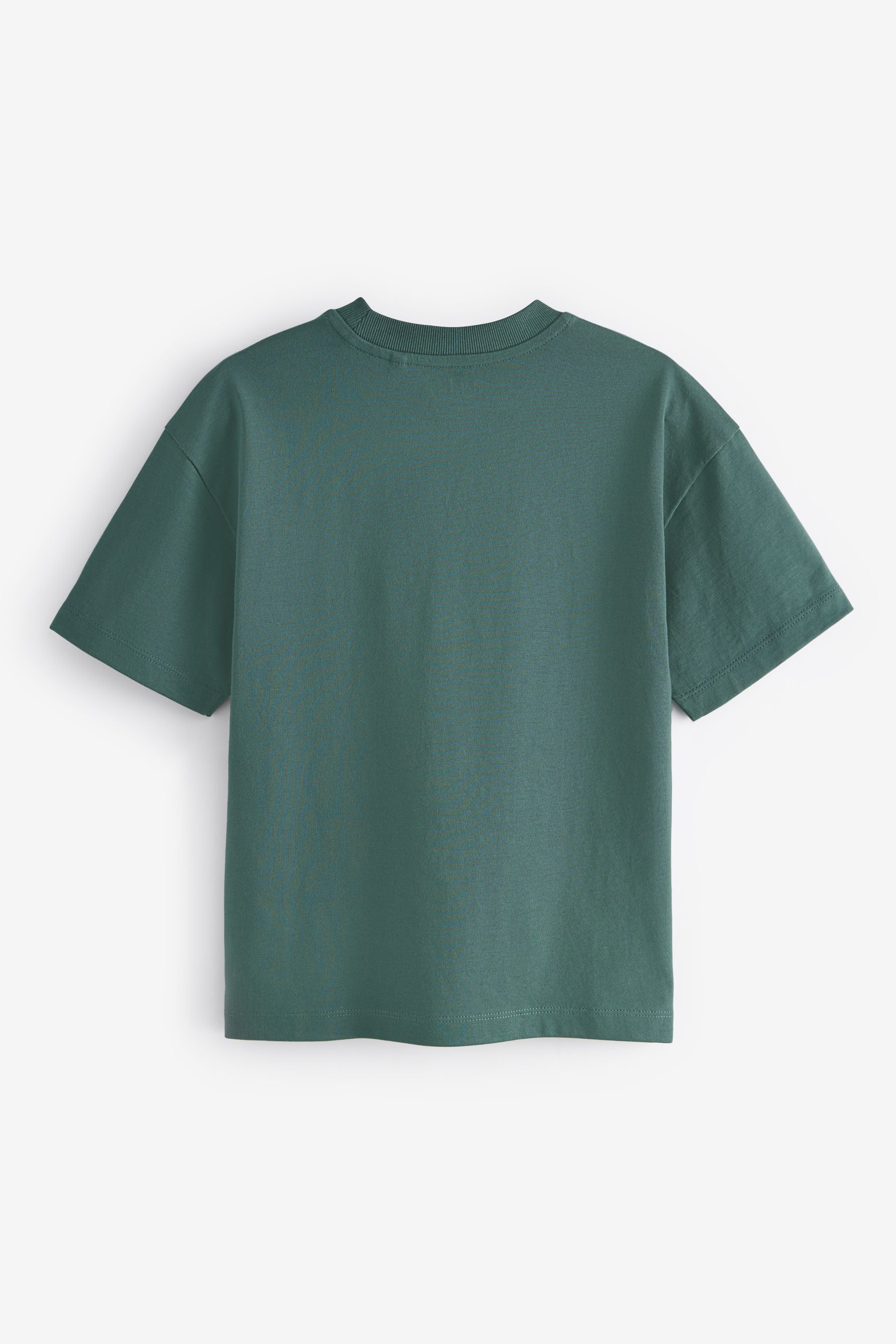 Green Ghecko Relaxed Fit Short Sleeve Graphic T-Shirt (3-16yrs)