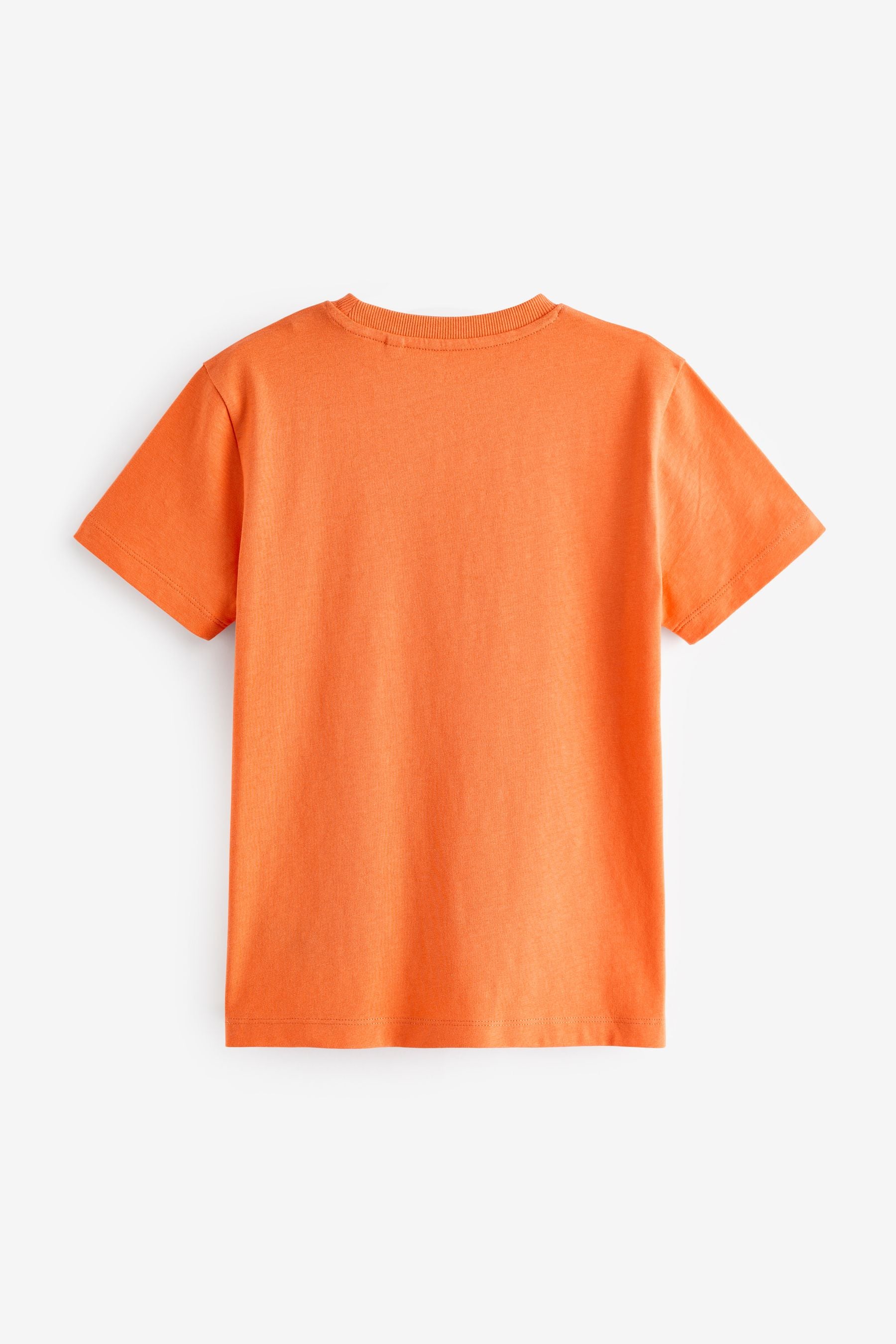 Orange Bright Regular Fit Short Sleeve T-Shirt (3-16yrs)