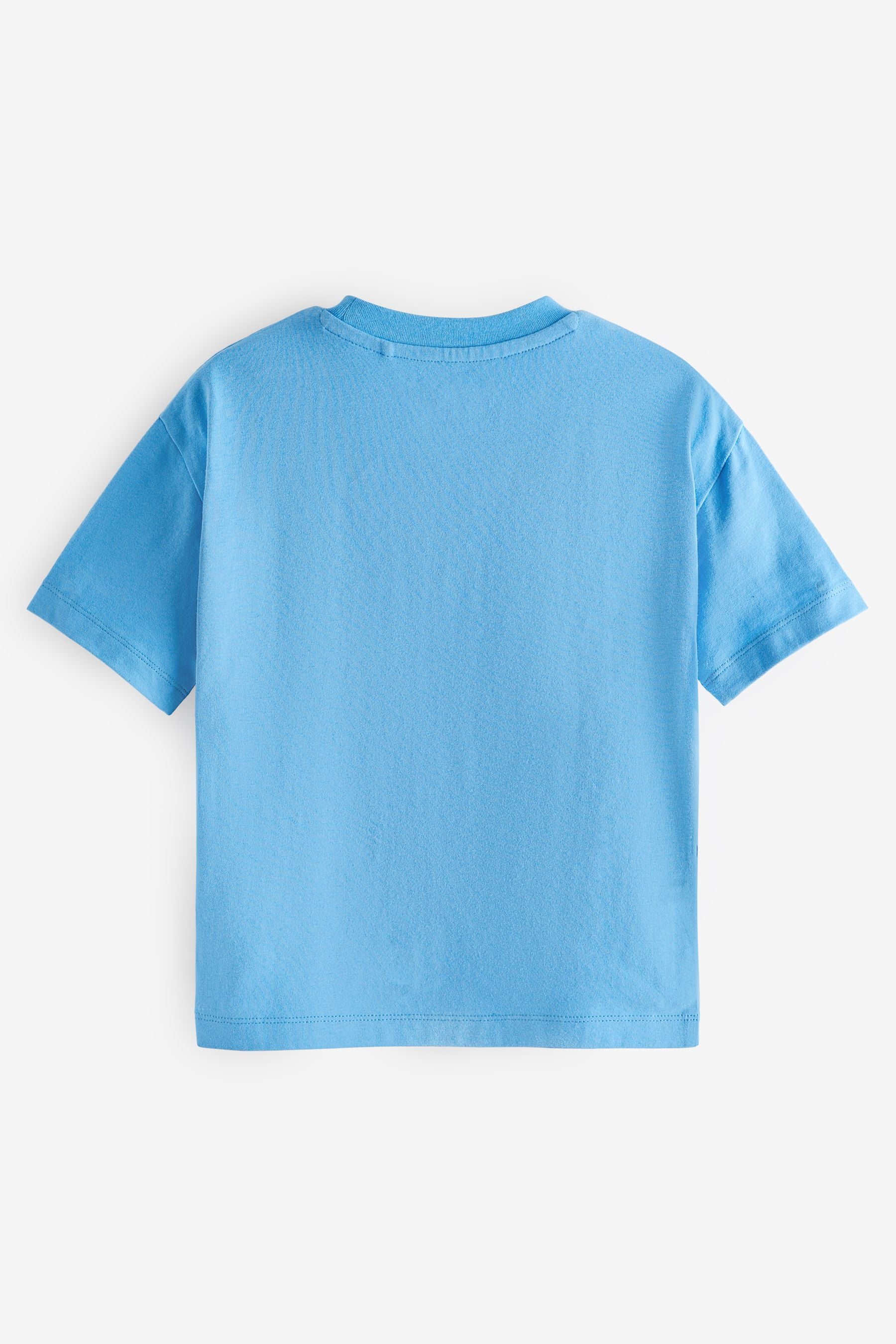 Blue Bluey Short Sleeve 100% Cotton T-Shirt (6mths-8yrs)