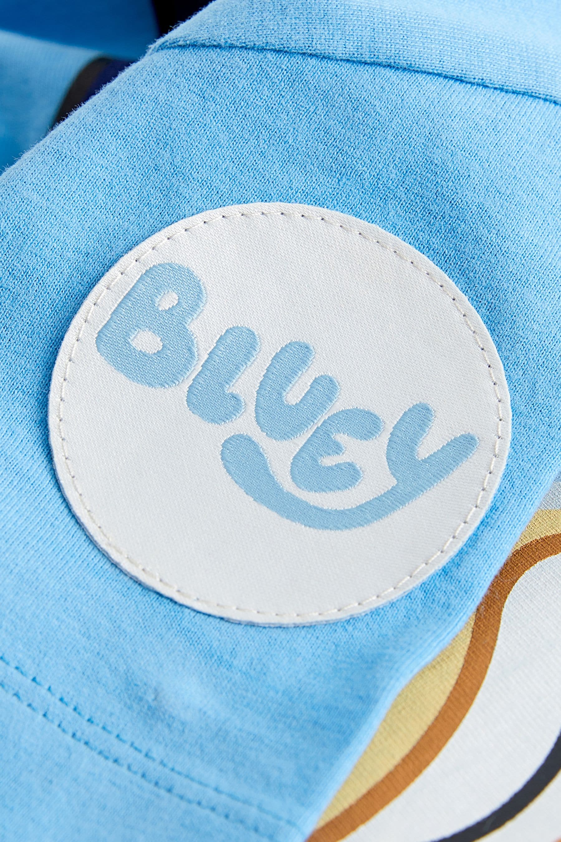 Blue Bluey Short Sleeve 100% Cotton T-Shirt (6mths-8yrs)