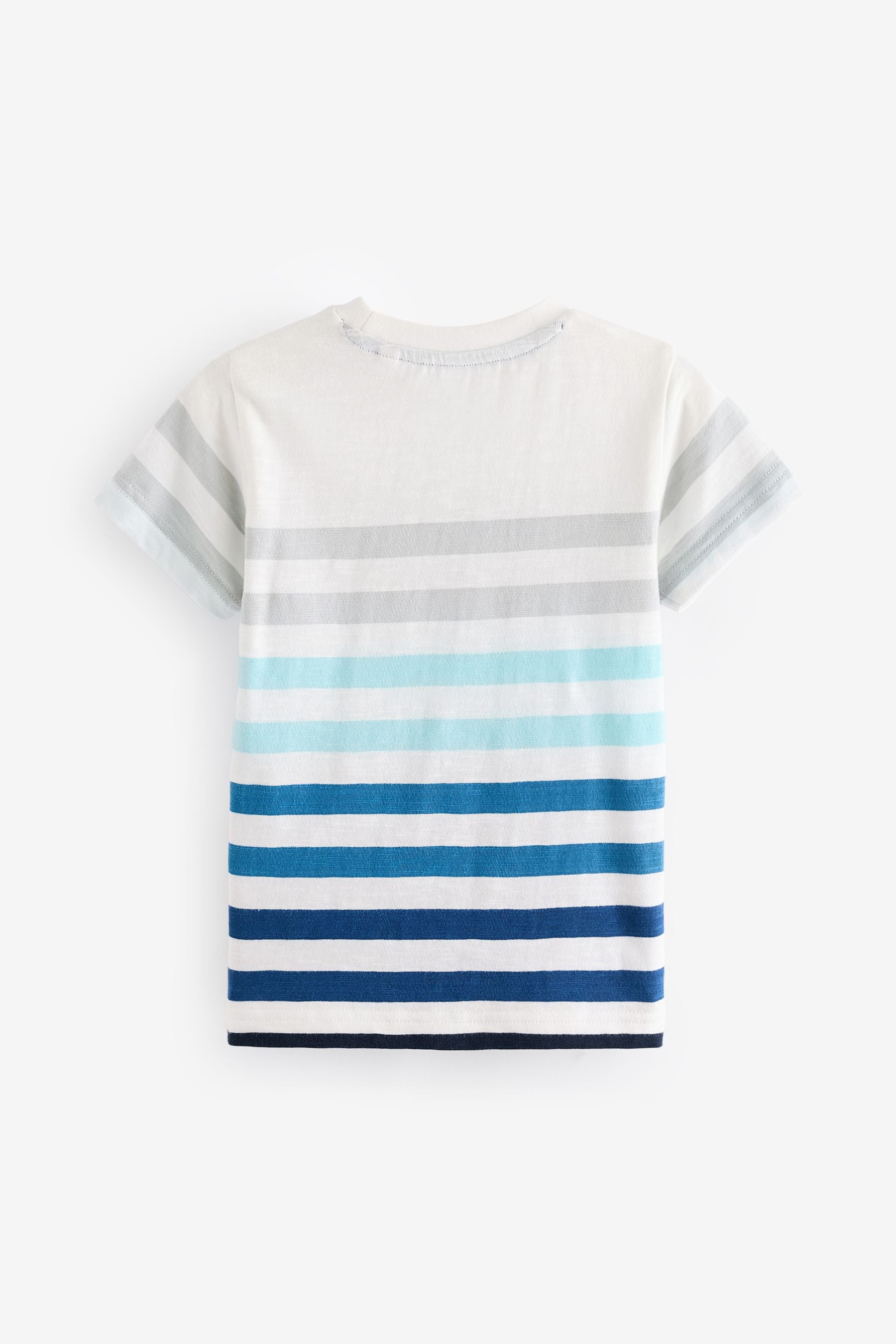 Blue/White Vertical Stripe Short Sleeve 100% Cotton T-Shirt (3mths-7yrs)