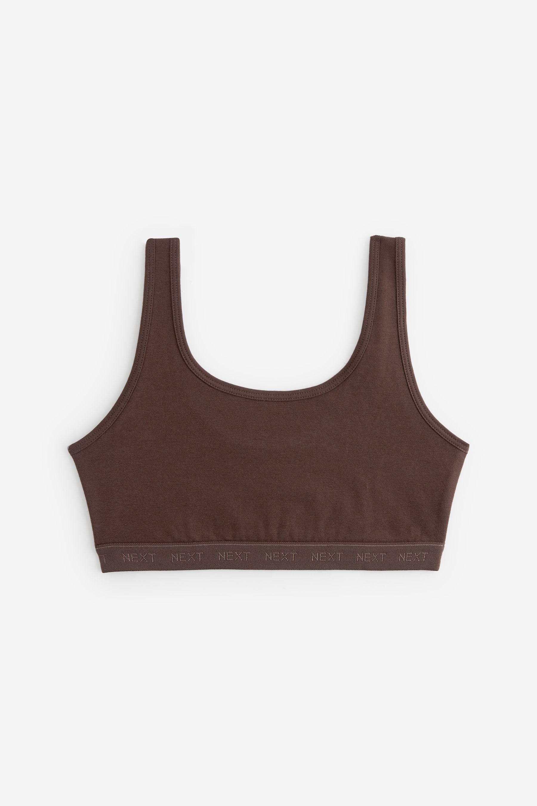 Truffle Brown Crop Tops 3 Pack (5-16yrs)