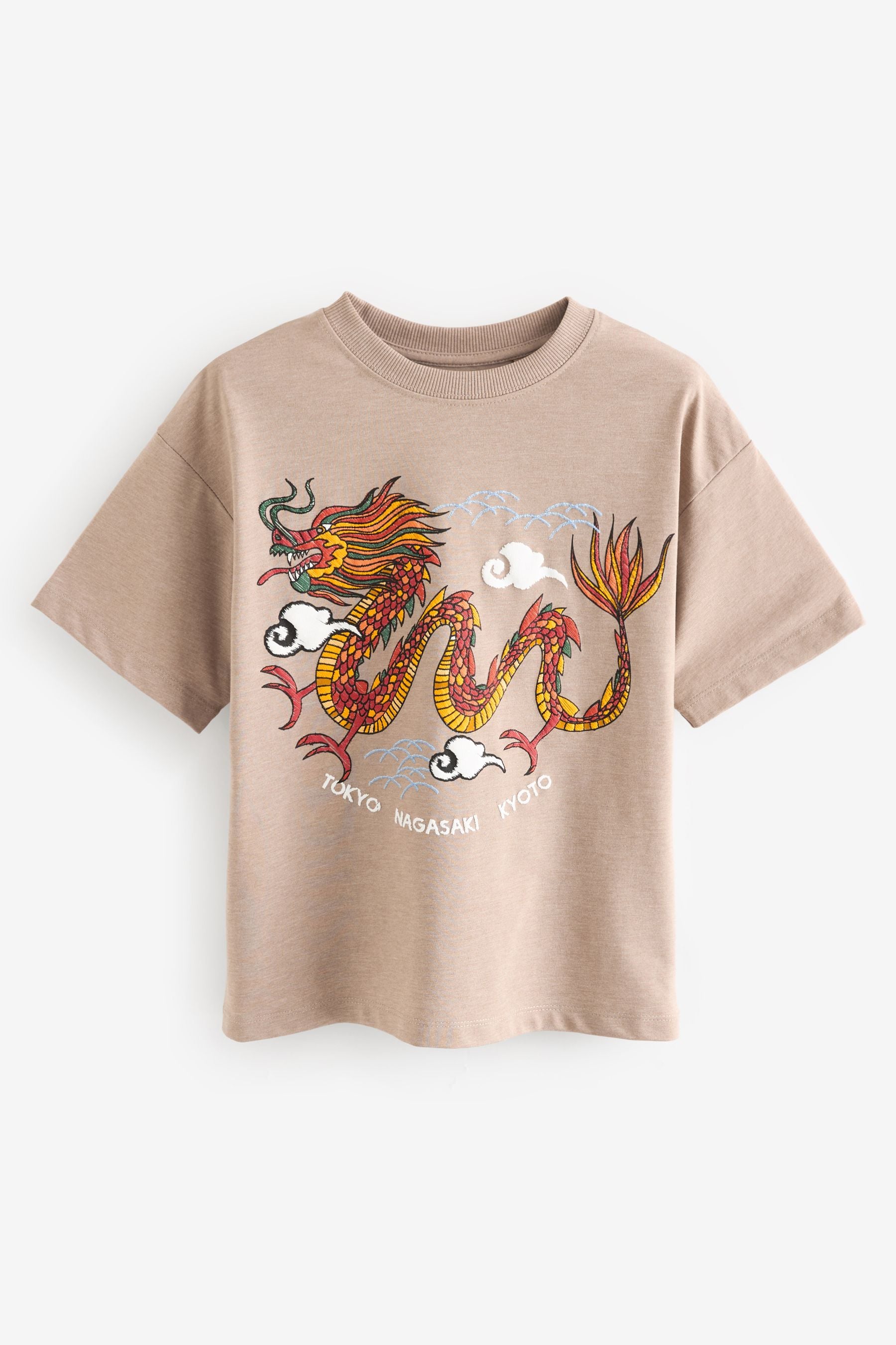 Stone Dragon Relaxed Fit Short Sleeve 100% Cotton Graphic T-Shirt (3-16yrs)