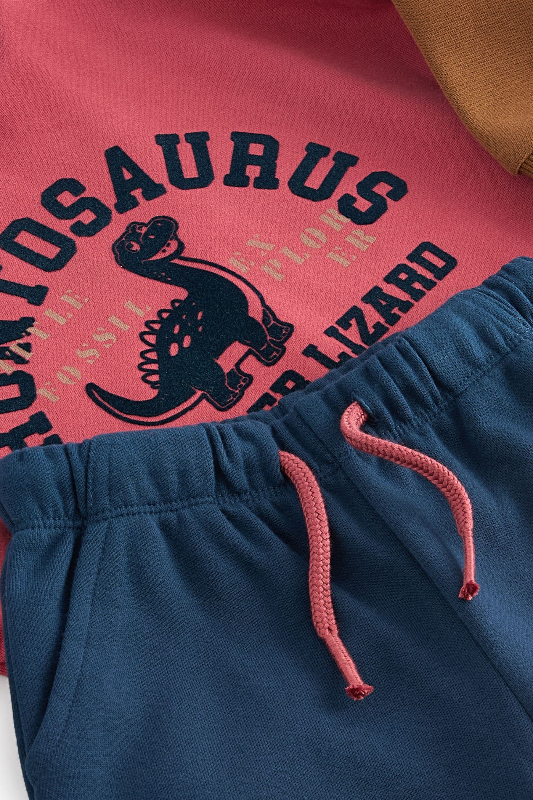 Red/Blue Dinosaur Printed Colourblock Sweatshirt and Joggers Set (3mths-7yrs)