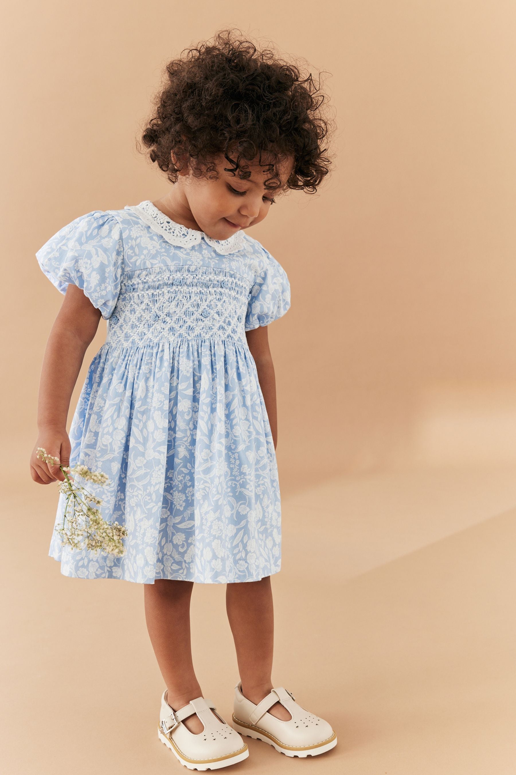 Blue Lace Collar Shirred Dress (3mths-8yrs)