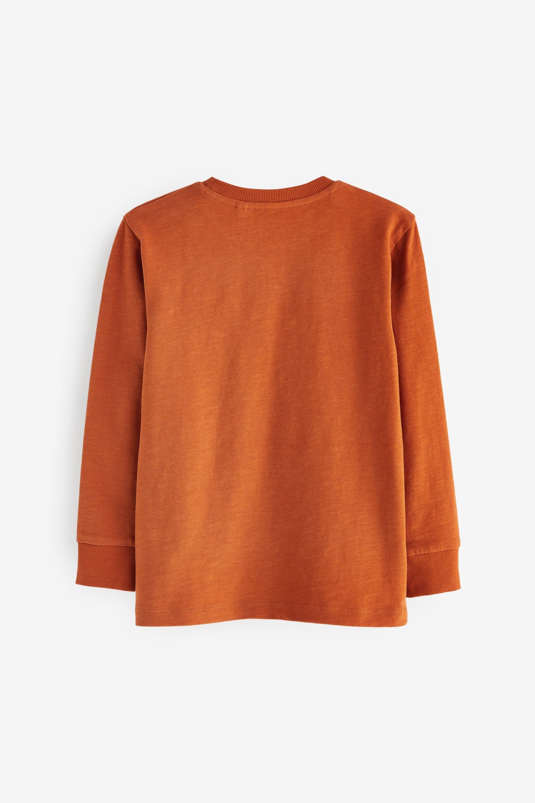 Rust Orange Long Sleeve Cosy T-Shirt (3-16yrs)