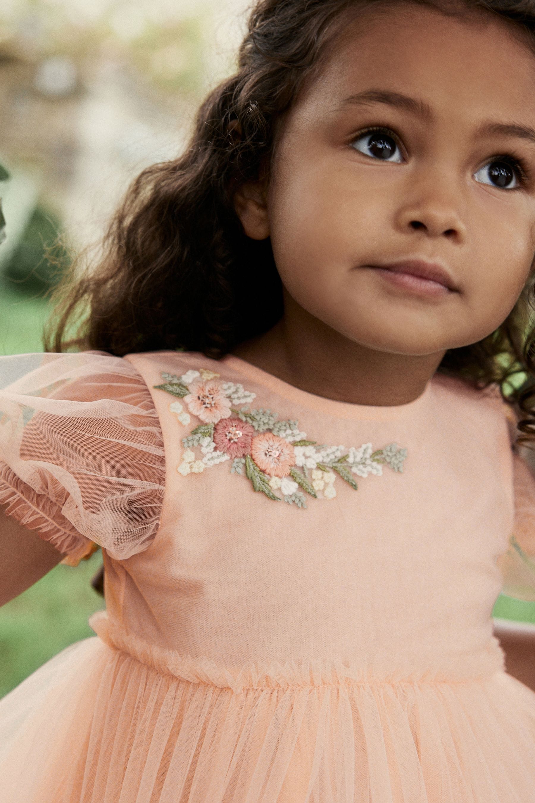 Pink Embroidered Mesh Party Dress (3mths-10yrs)