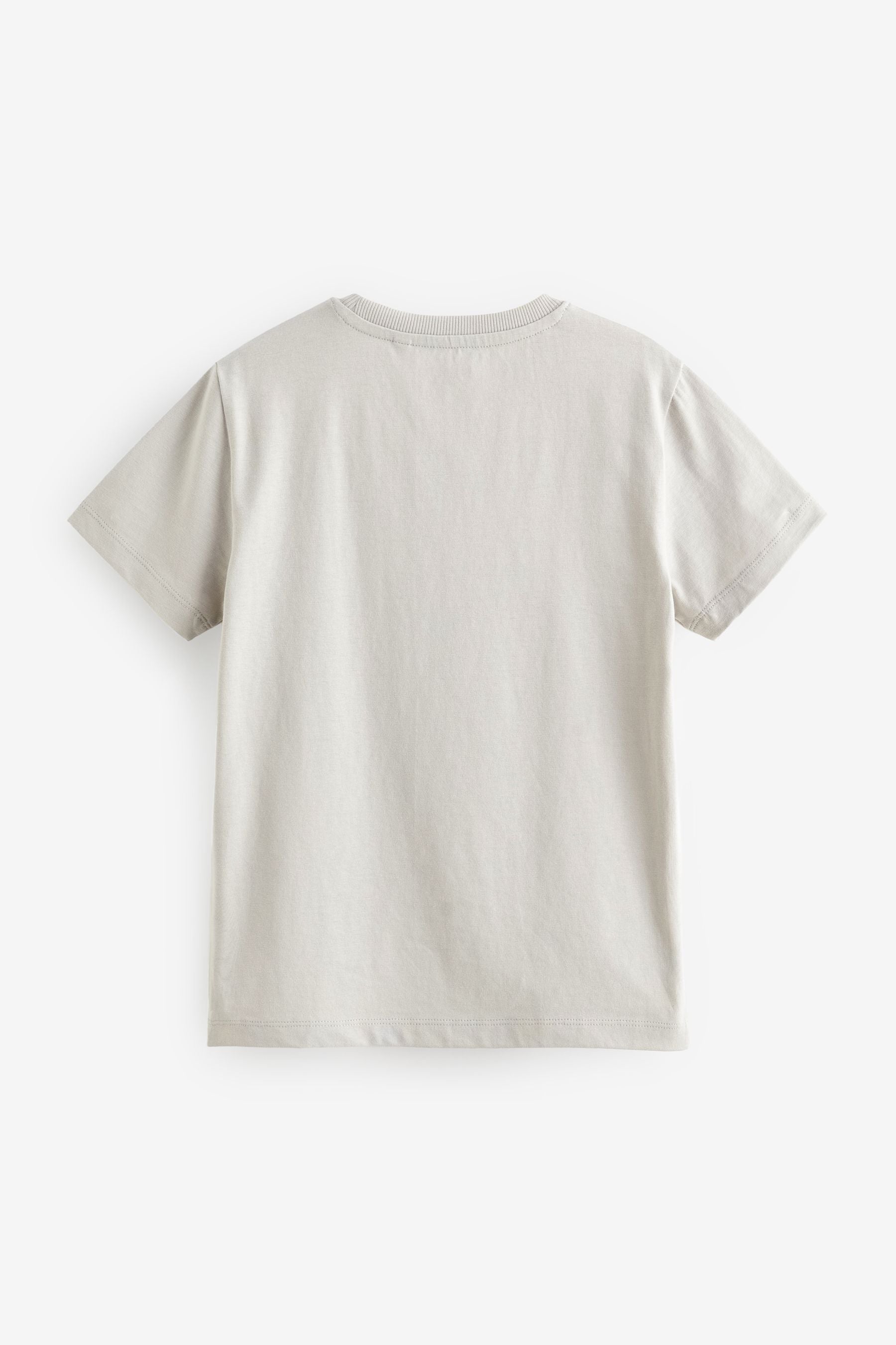 Grey Pale Regular Fit Short Sleeve T-Shirt (3-16yrs)