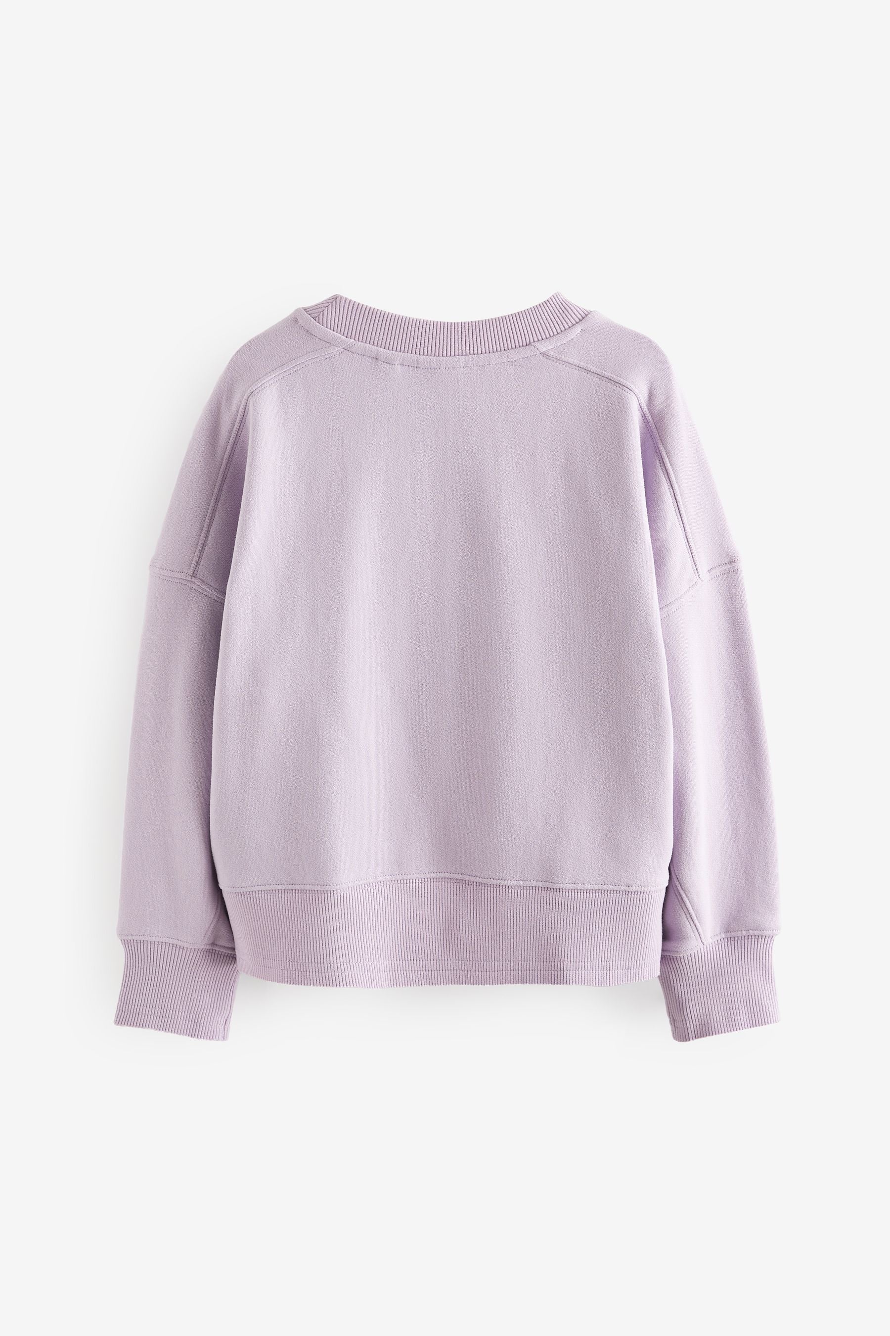 Lilac Purple Crew Sweatshirt Top (3-16yrs)