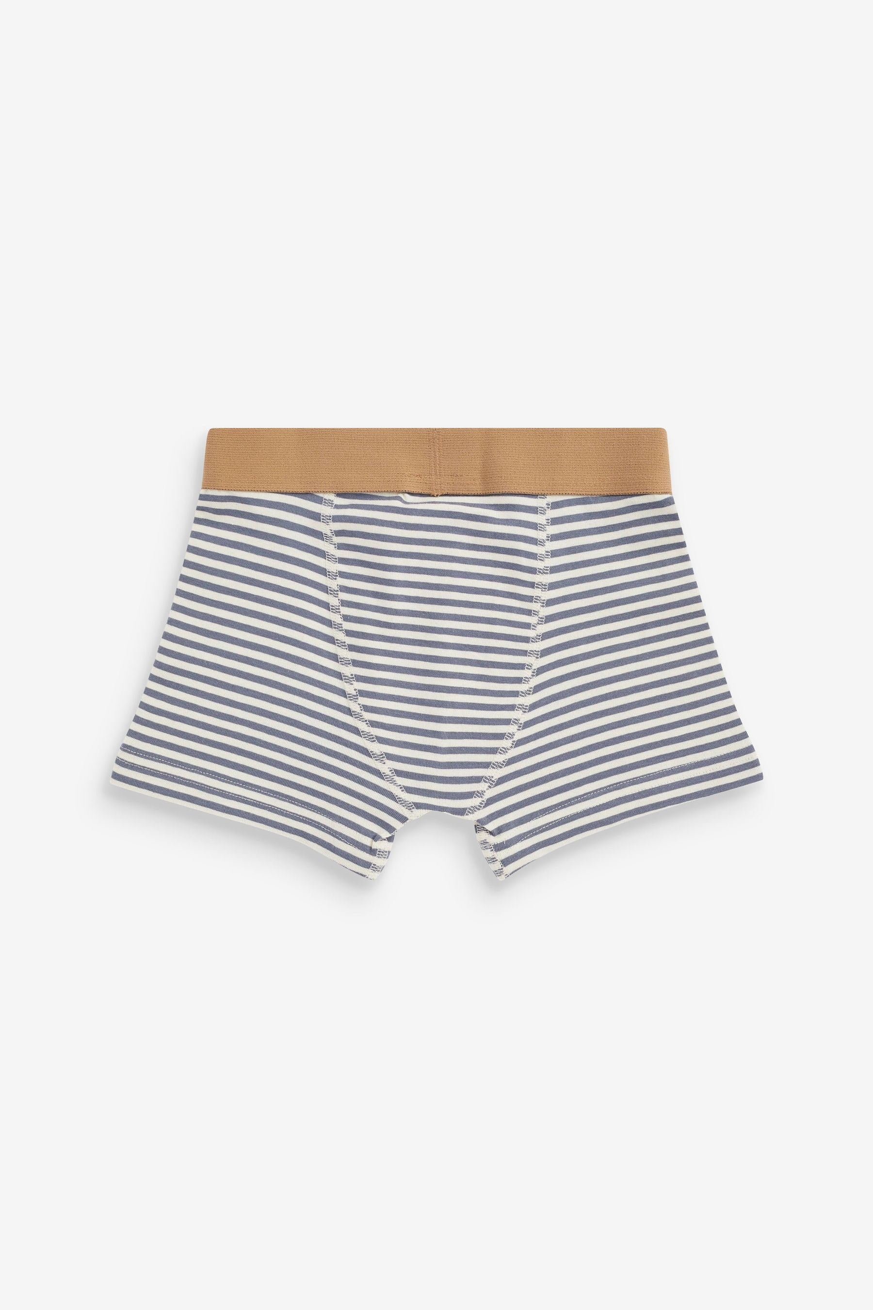 Blue/Grey Mini Bright Trunks 5 Pack (2-10yrs)