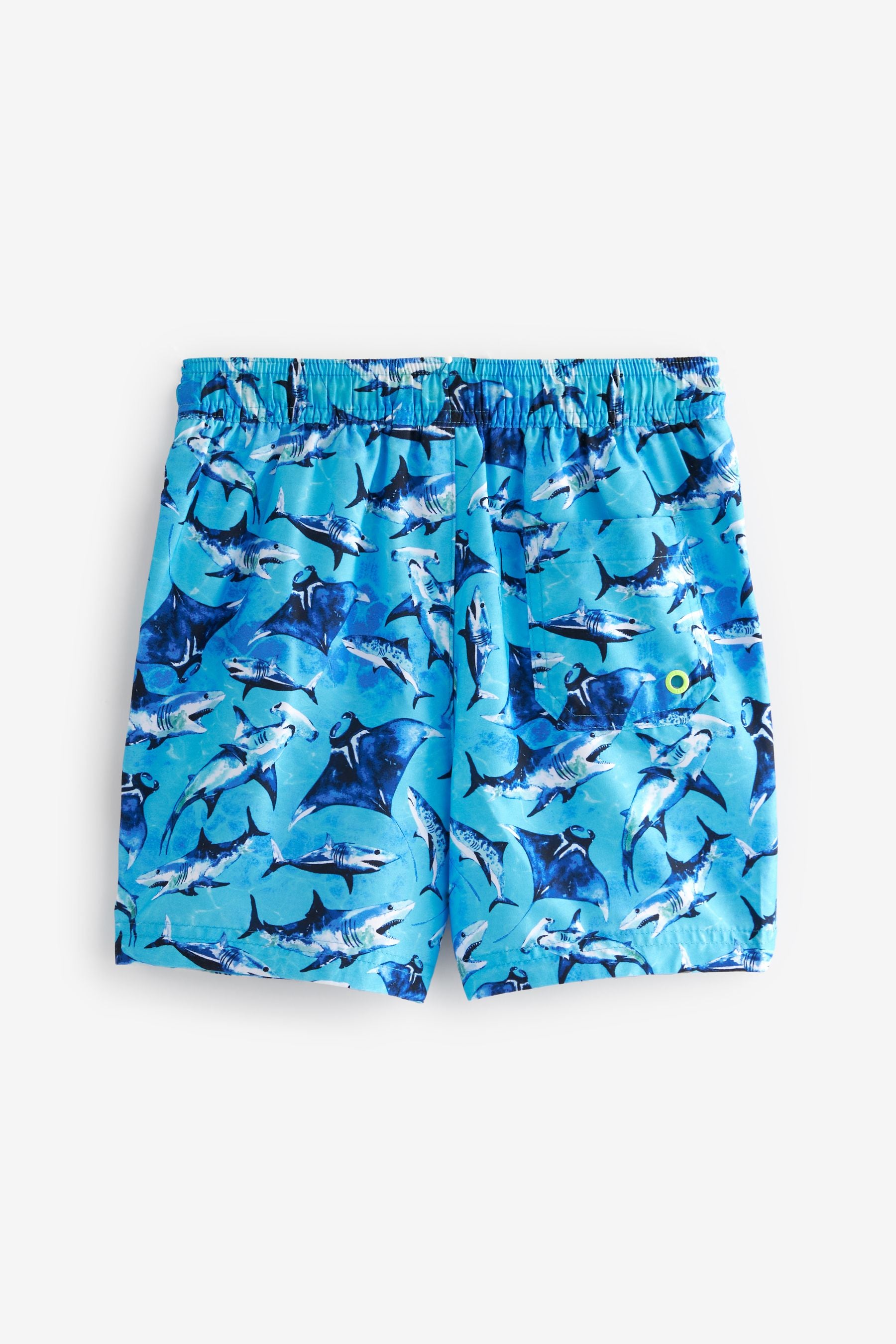 Blue Shark Printed Swim Shorts (3mths-16yrs)